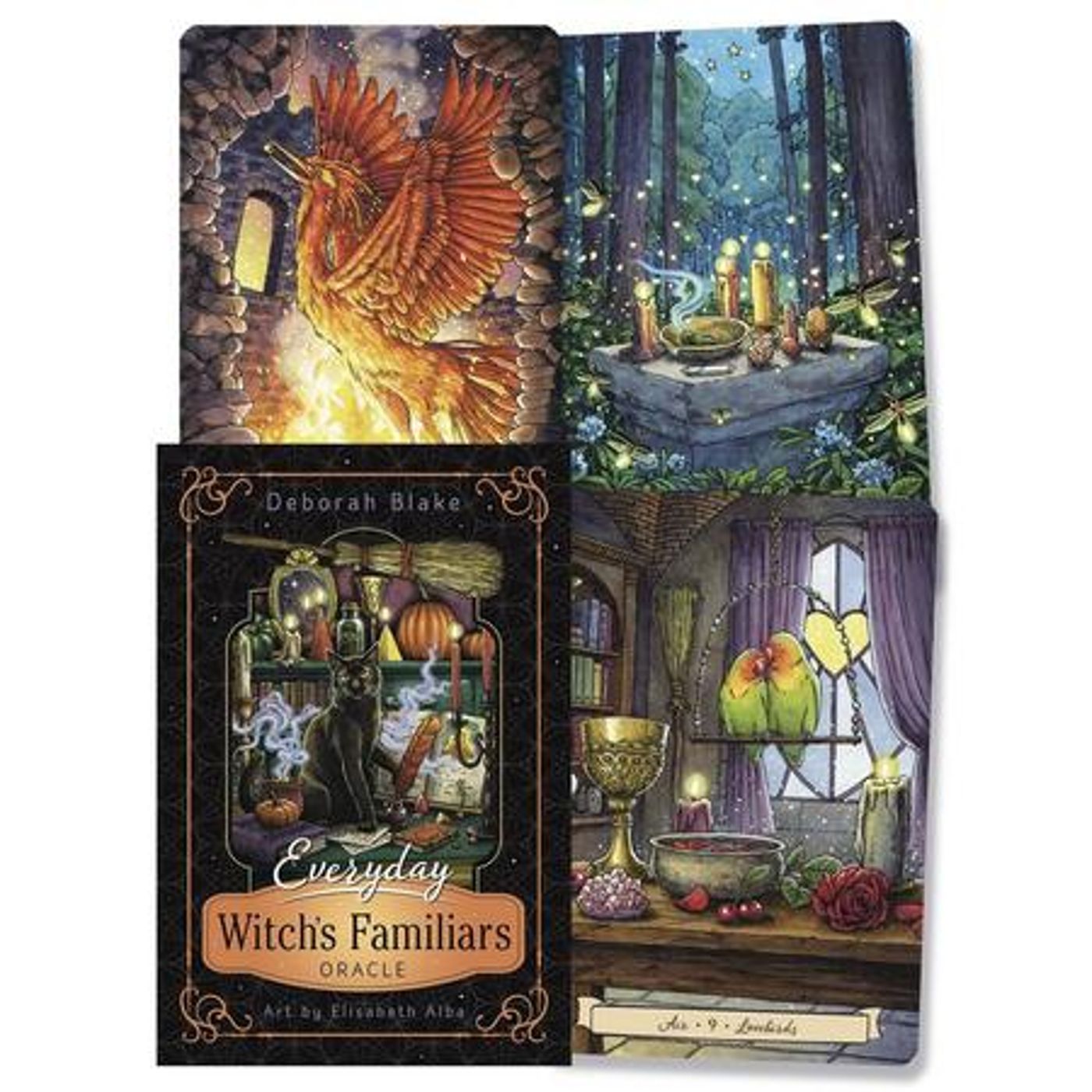 Desperate House Witches