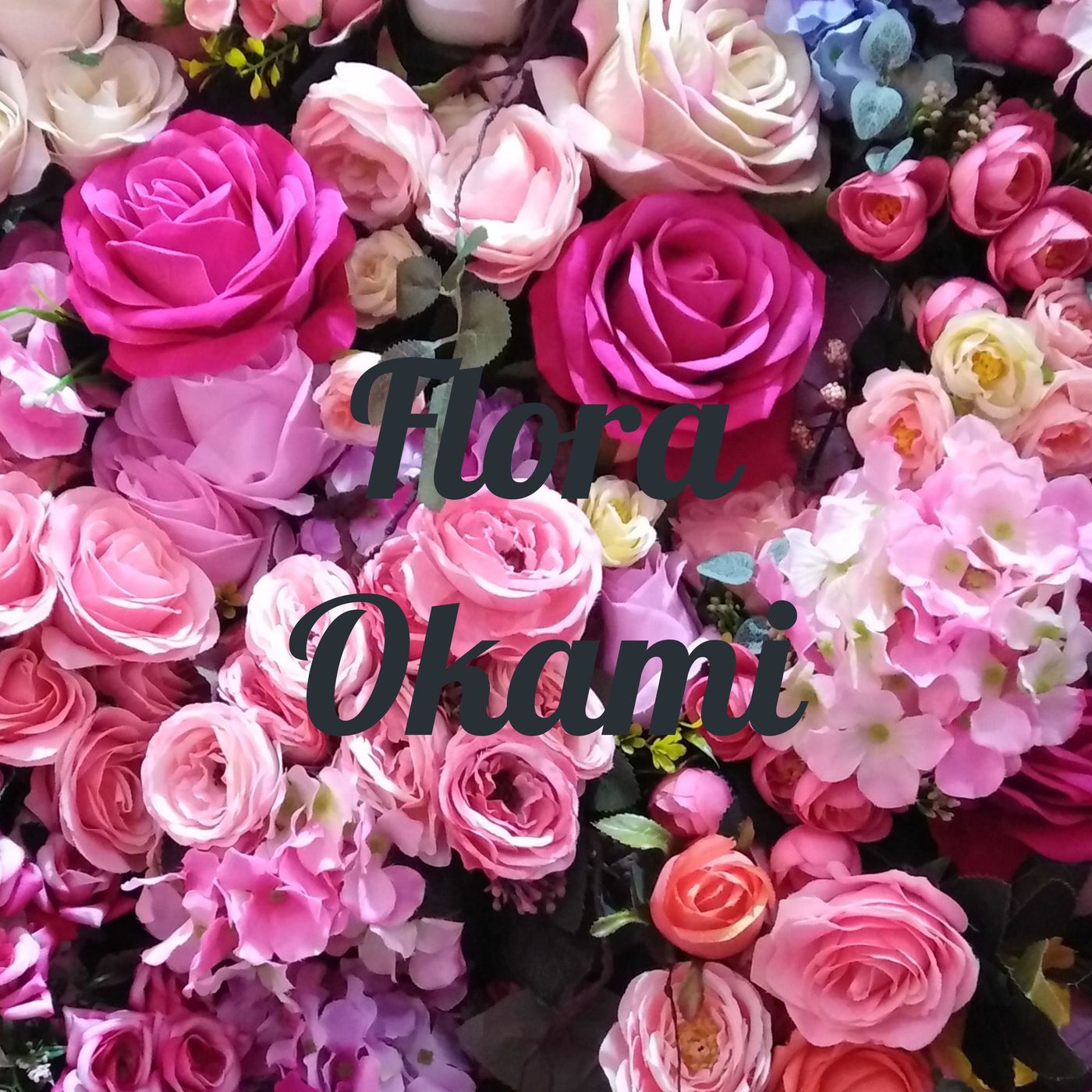 Flora Okami (Not Your Average love guru)