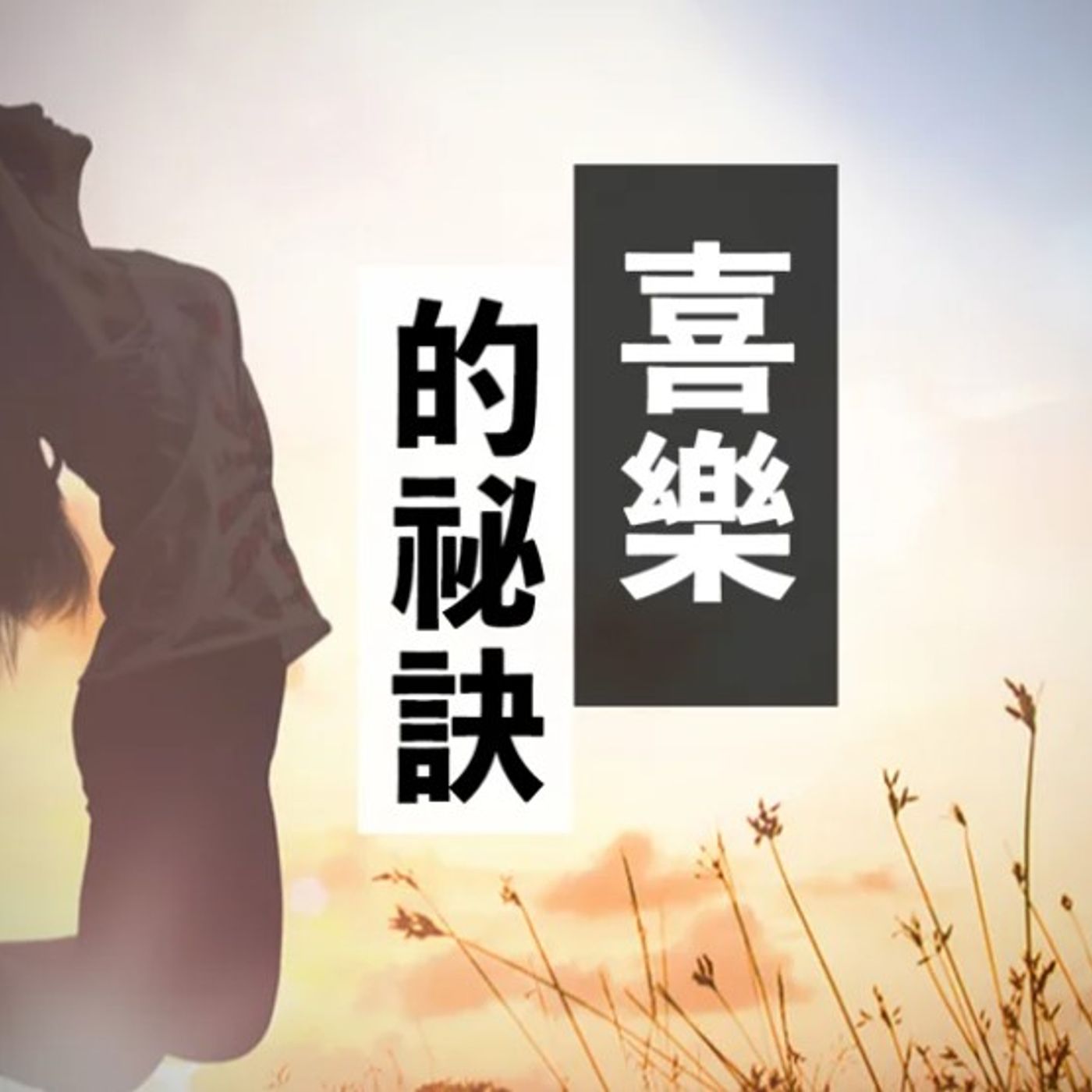 喜樂的秘訣 | Vivien Tsang episode artwork