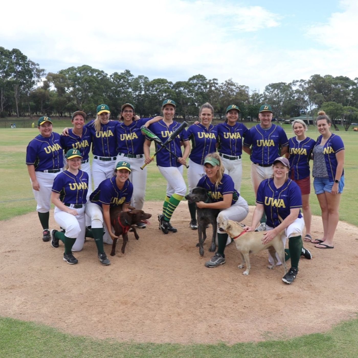 Ladywhips Baseball