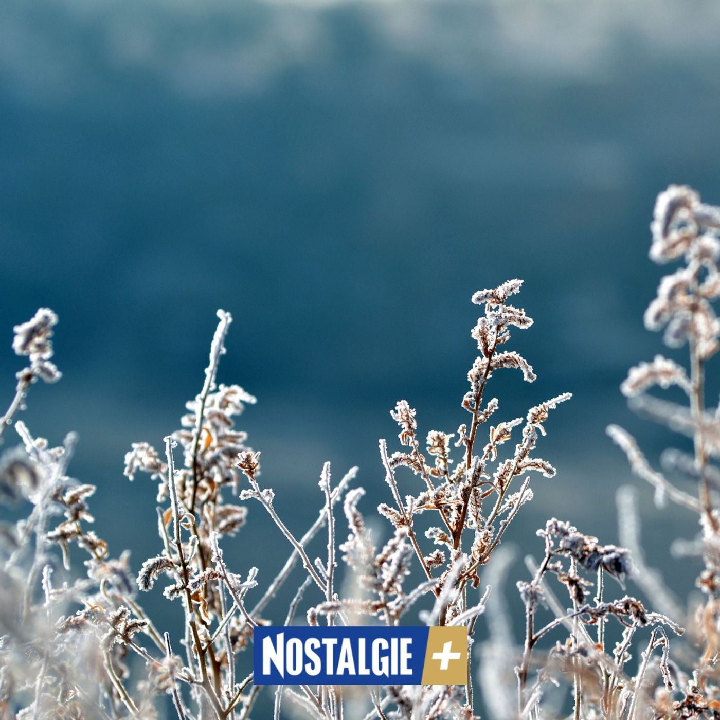 Découvrez les effets bénéfiques et néfastes du froid hivernal