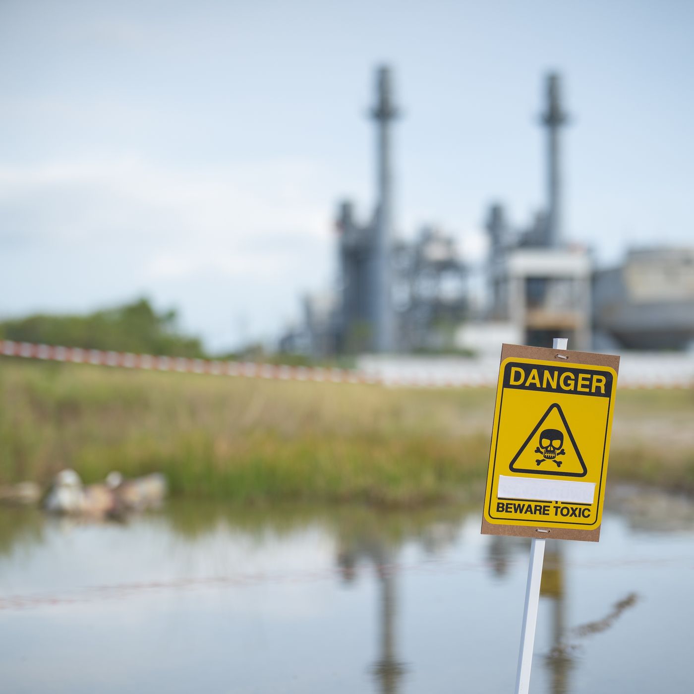 How toxic chemicals quietly took over our lives