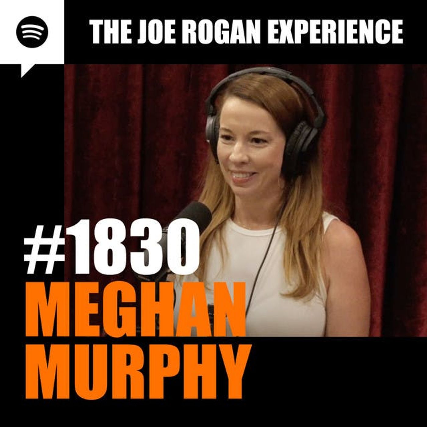 The Joe Rogan Experience