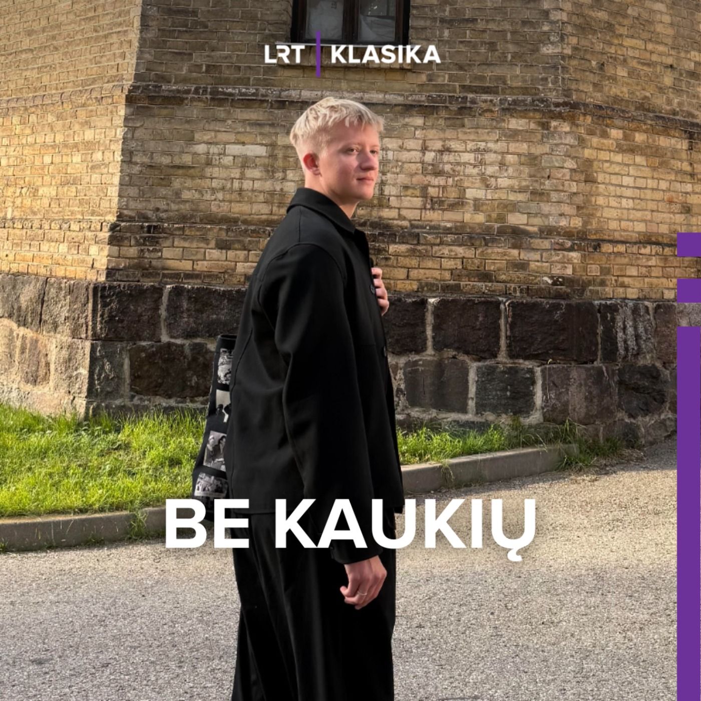 Antikos tyrėjas Čekavičius: kultūros ministras turėtų atkreipti dėmesį į savo ribotumą episode artwork
