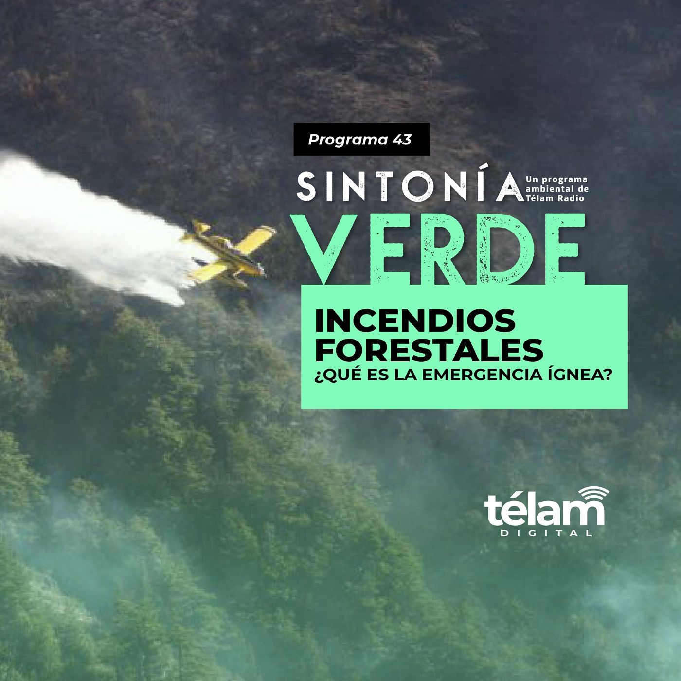 cover of episode Incendios forestales: ¿Qué es la emergencia ígnea?