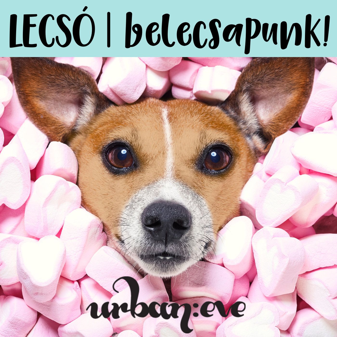 Lecsó: belecsapunk!