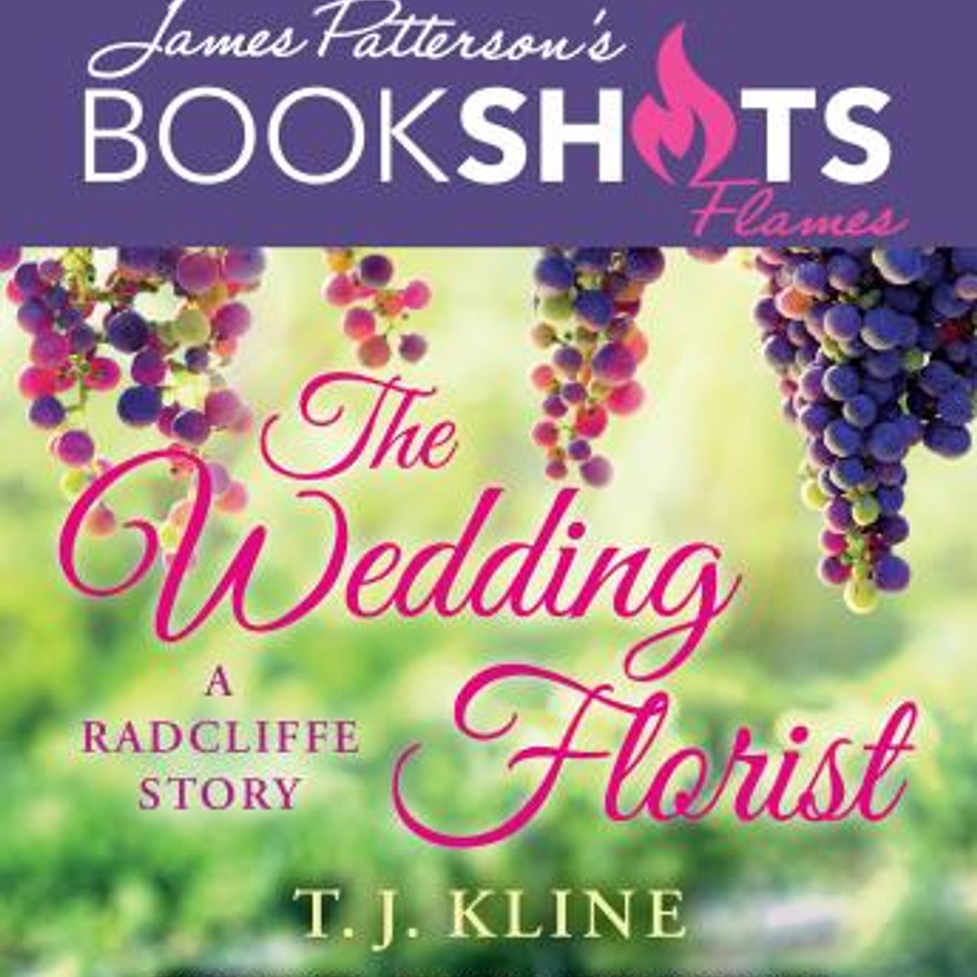 Download Incredible Full Audiobooks in Romance, Modern