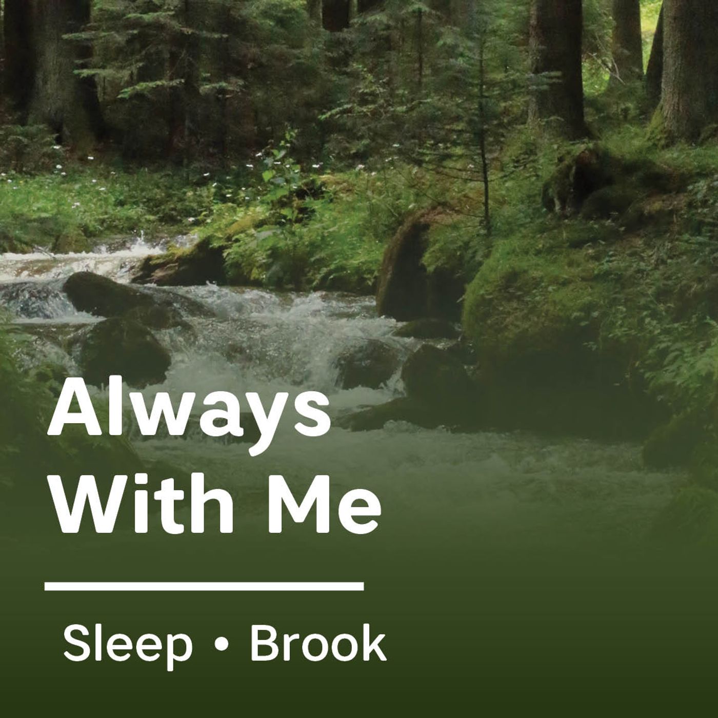 Always With Me Always With Me