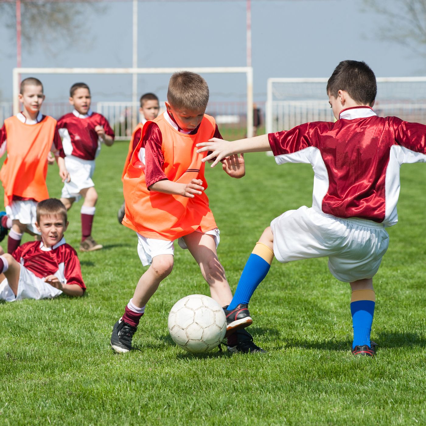 Egyption LEG - Sport