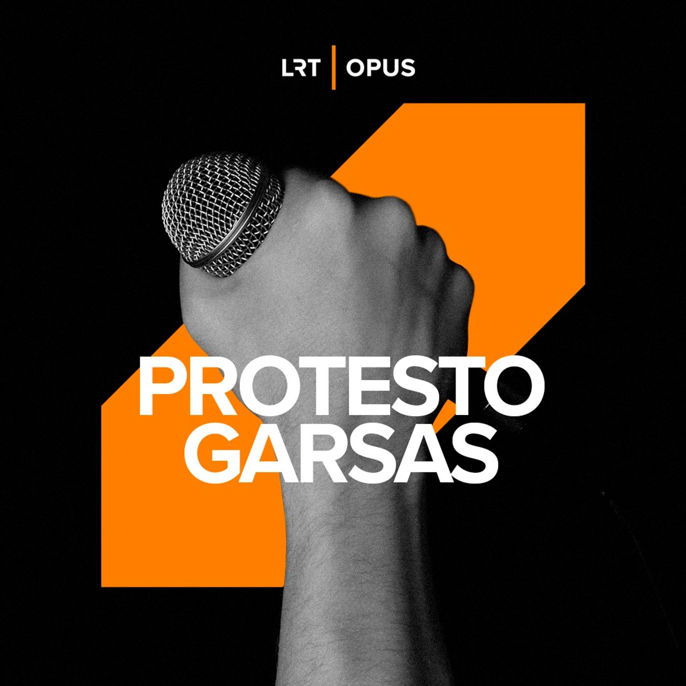 Protesto garsas – koks jis mums?