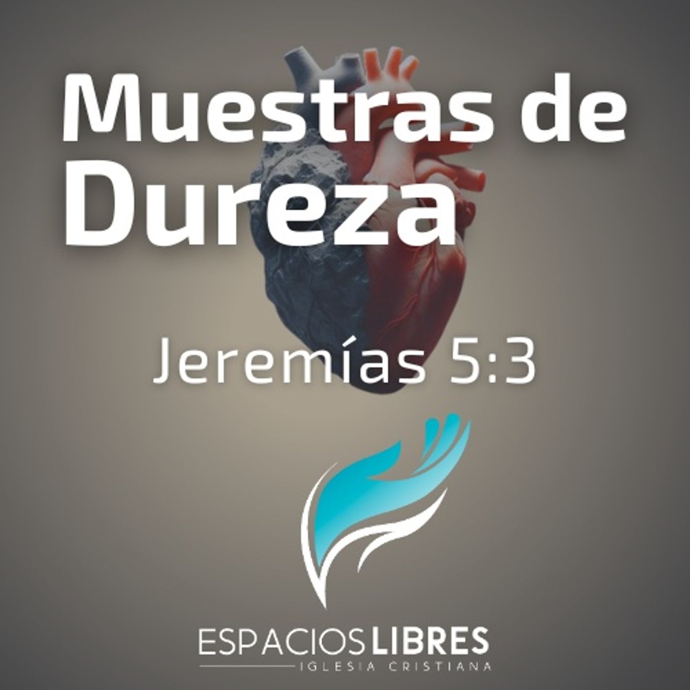 IGLESIA CRISTIANA ESPACIOS LIBRES