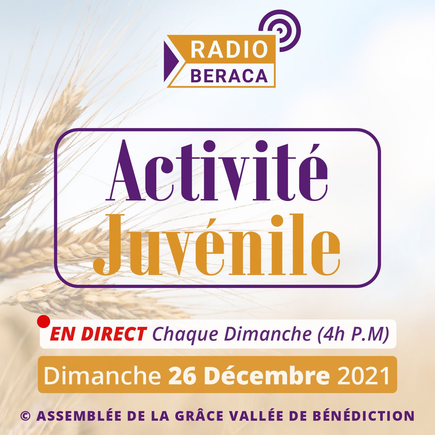 Dimanche 26 déc.- Activité juvénile episode artwork