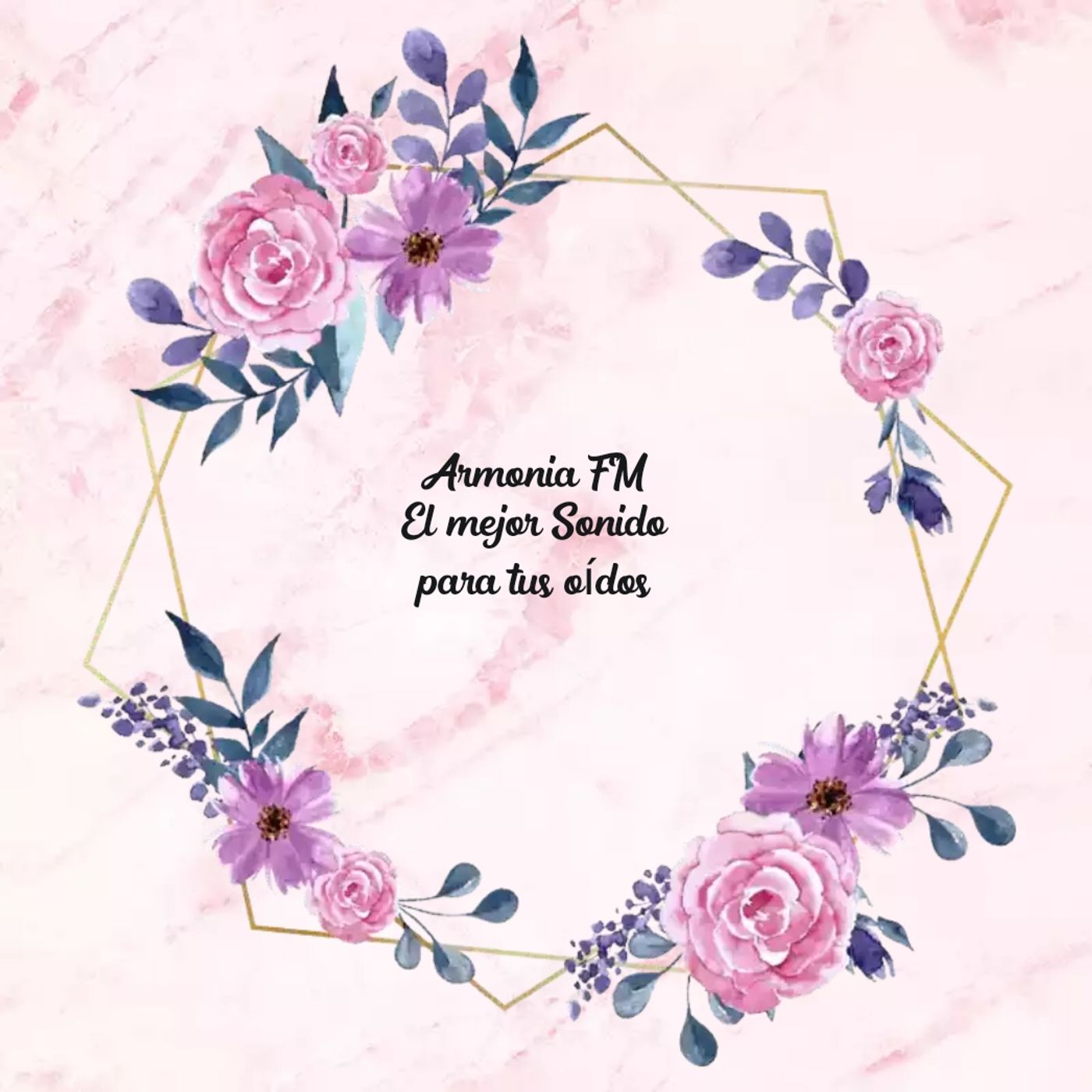 Radio Armonia Fm en el Aire