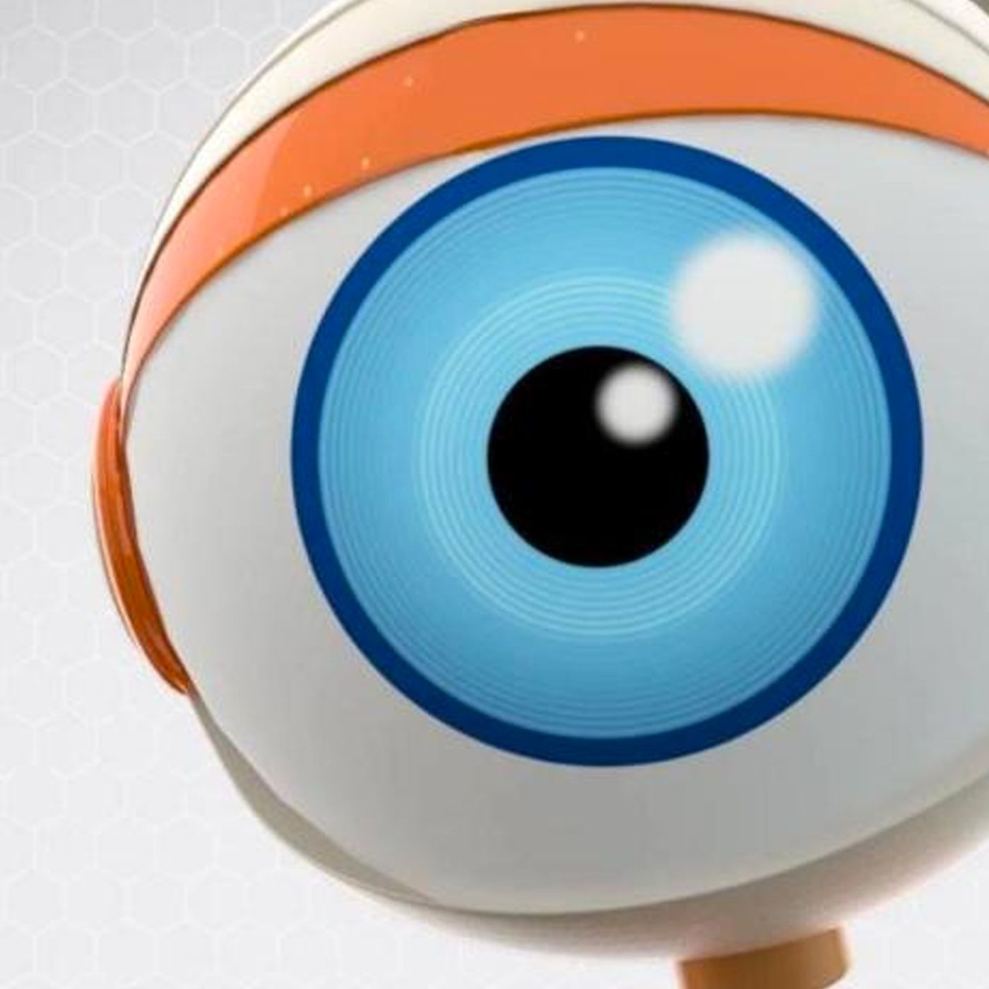 Kid Bengala candidato, Whindersson milionário e as primeiras novidades do BBB 21