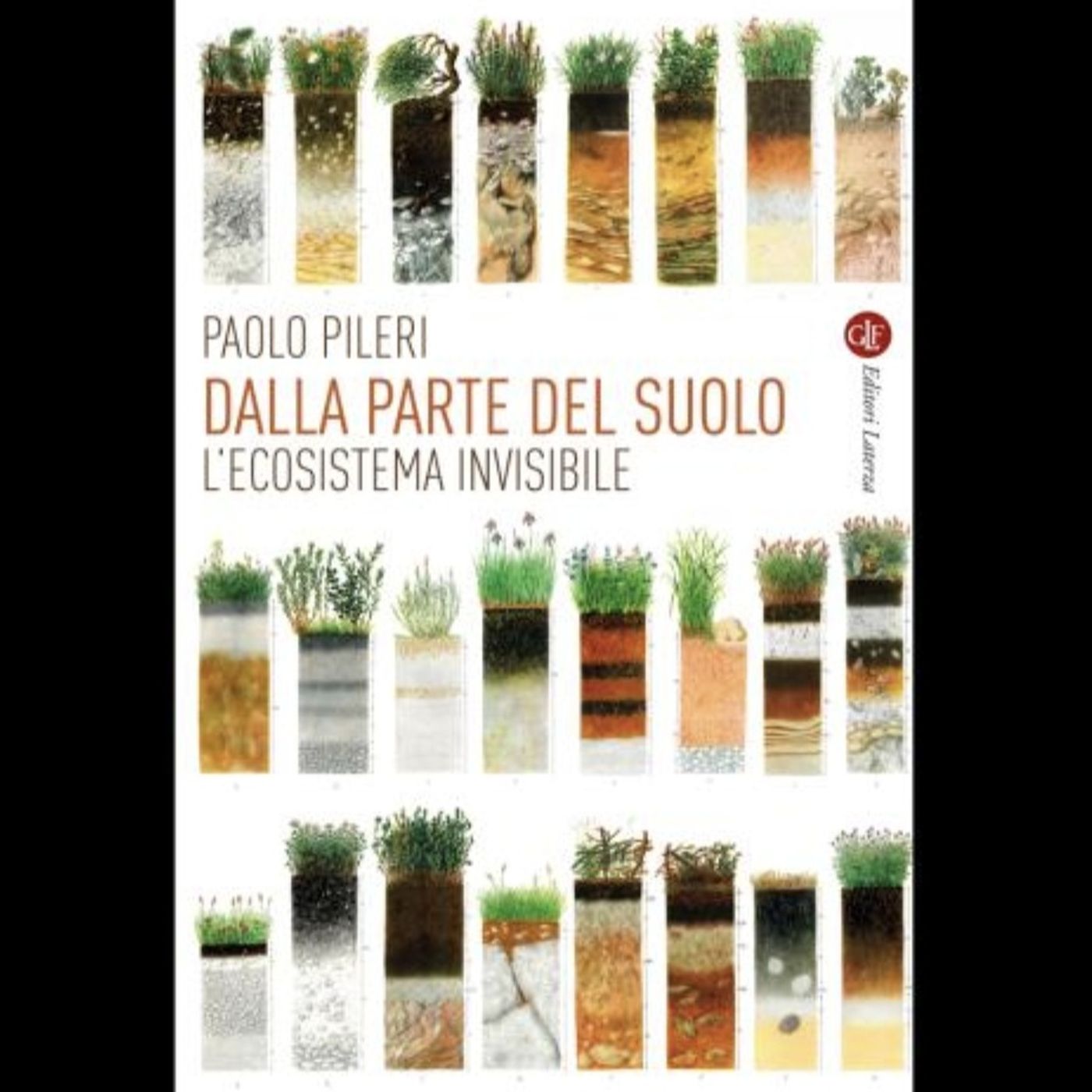 OLTRE LA SCENA - Riflessi di stagione | Segnalibro