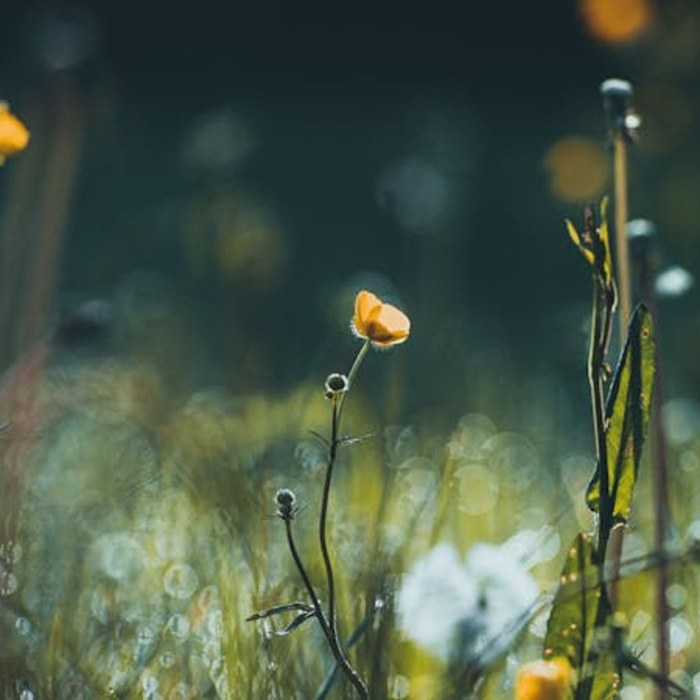 Why Do You Want to Be Loved by God?