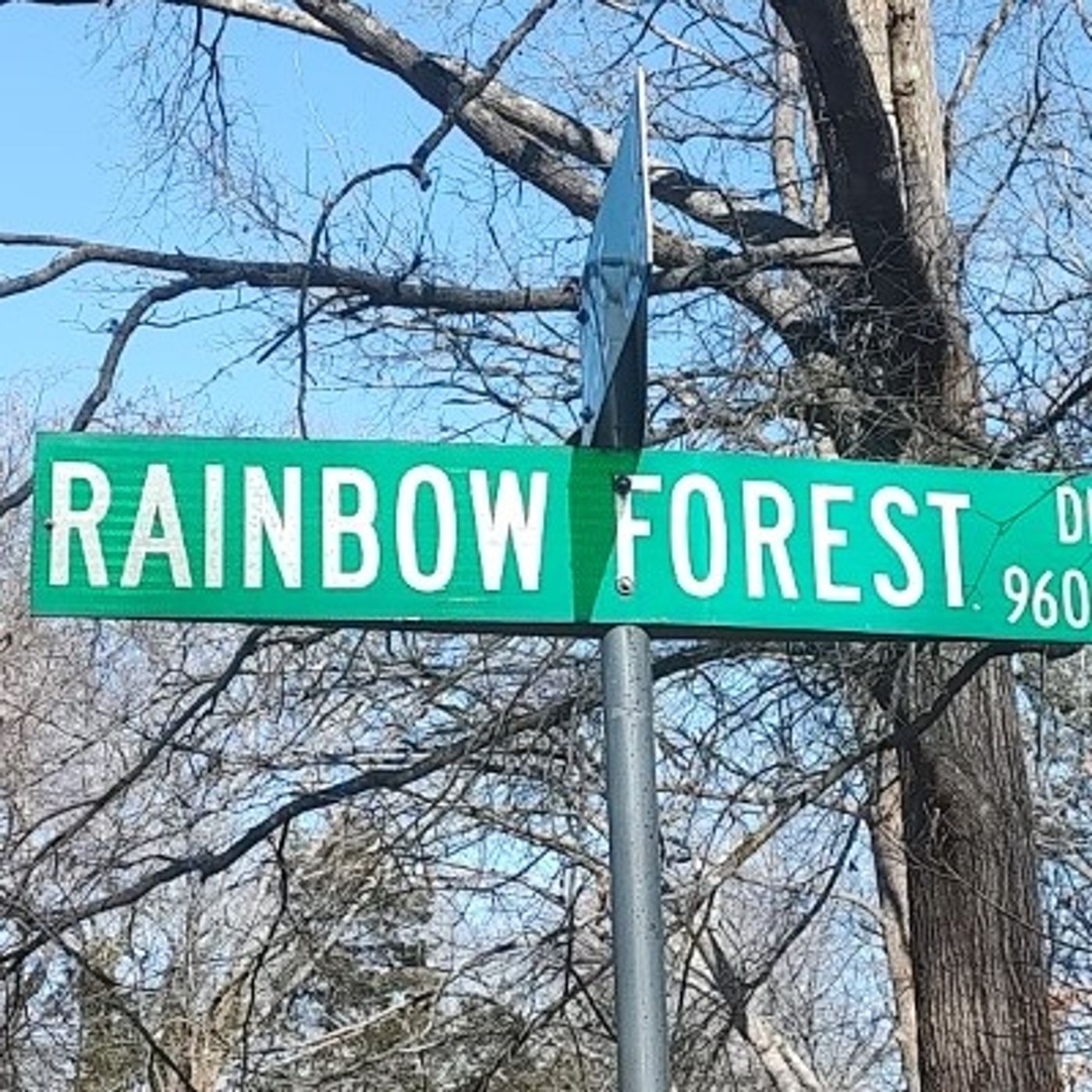 The Lyrics From Rainbow Forest Chapter 391 Undiscovered Peace