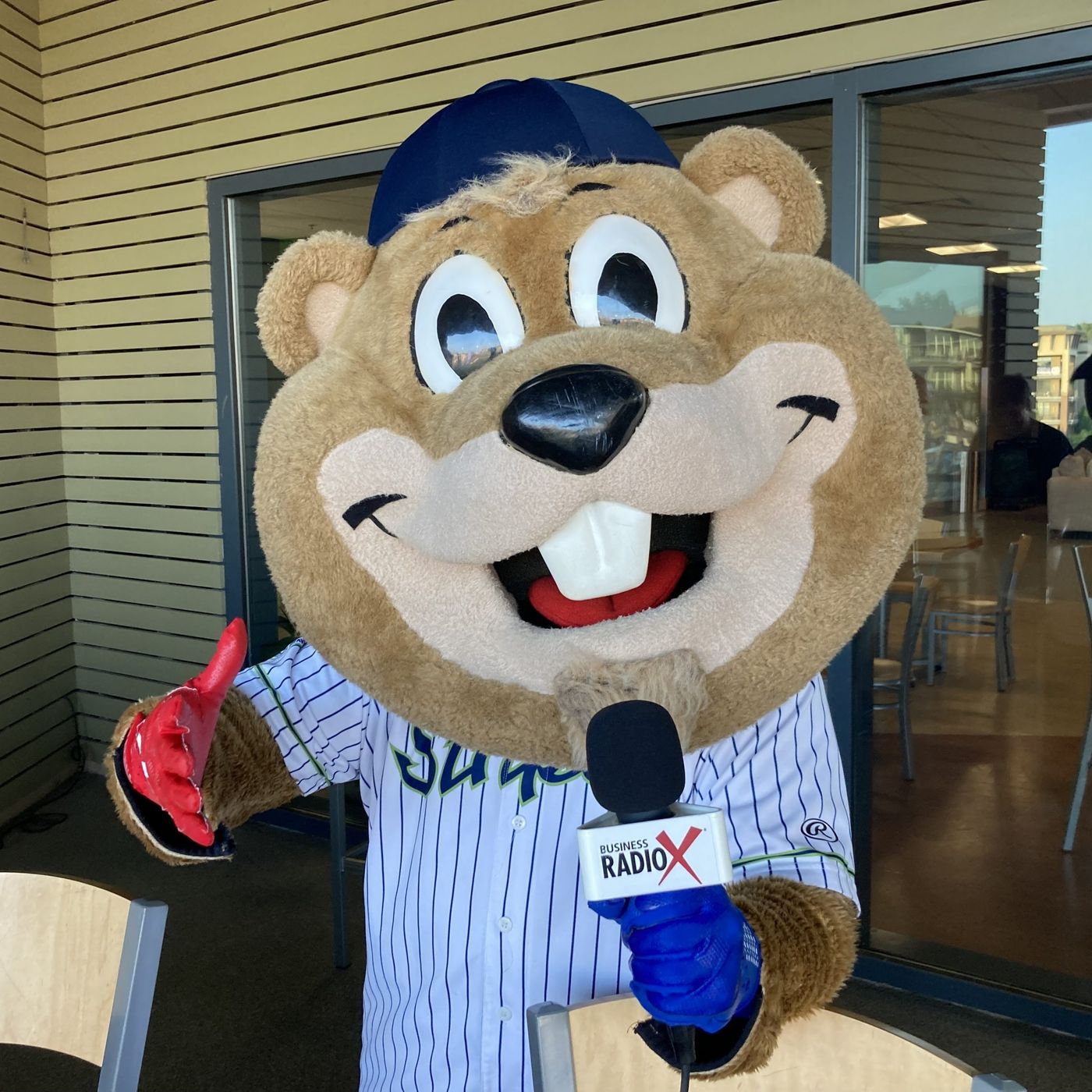 THE BUSINESS OF BASEBALL: Live Broadcast from Gwinnett Stripers Game at Coolray Field episode artwork