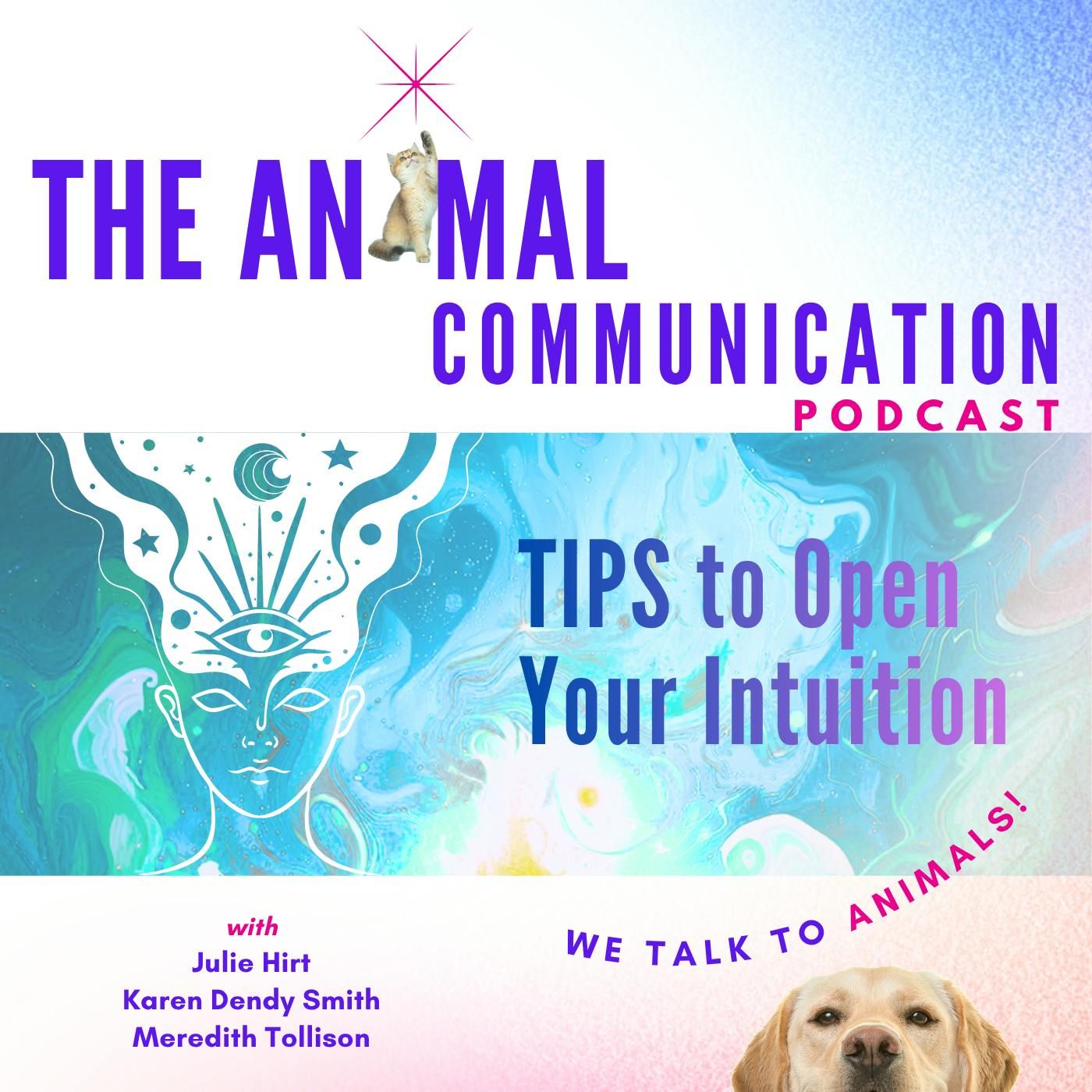 Tips to Open Your Intuition episode artwork