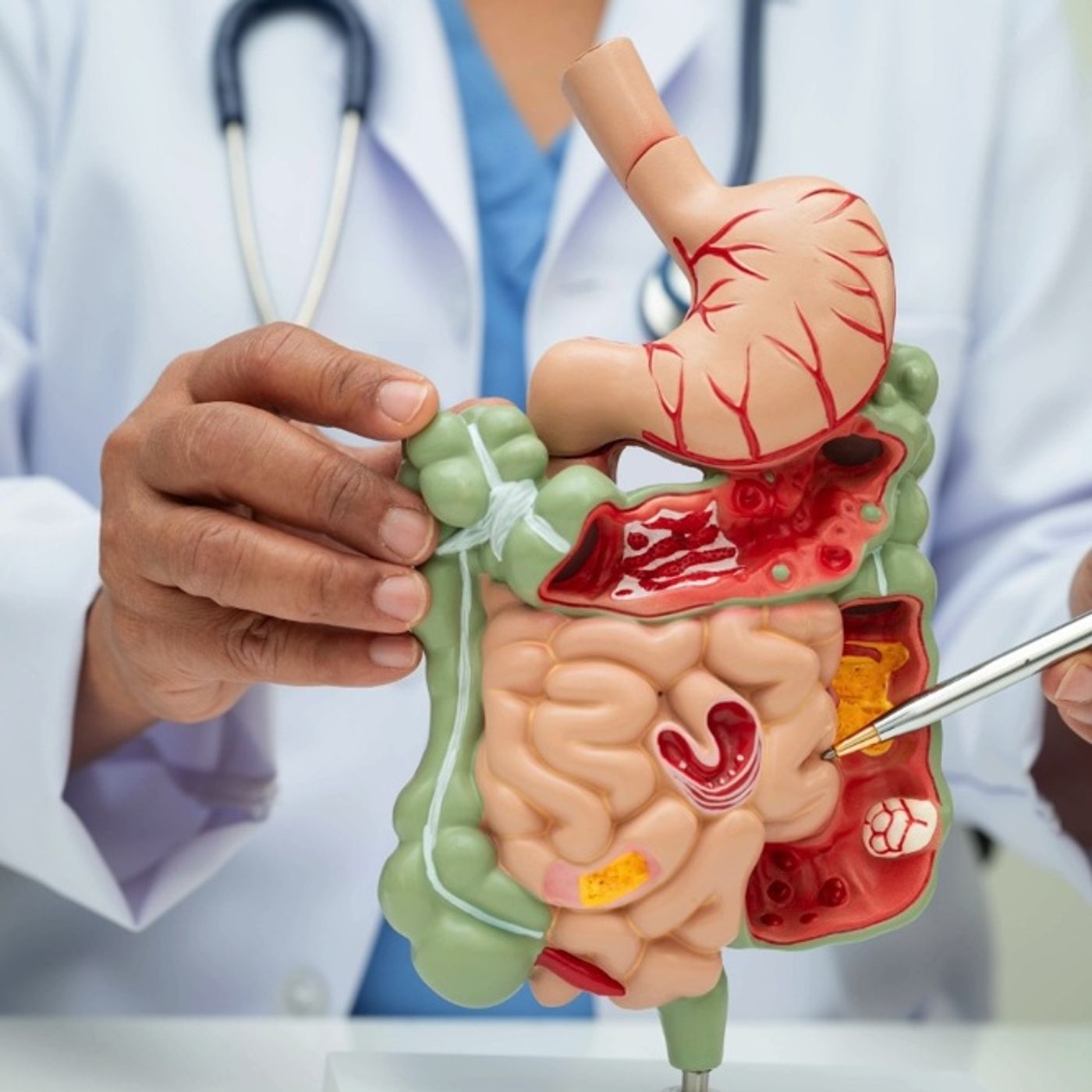 L’internista: il regista della medicina episode artwork