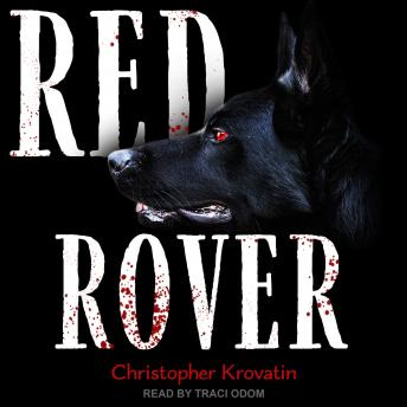 Get Your Favorite Full Audiobooks in Kids, Mystery & Fantasy