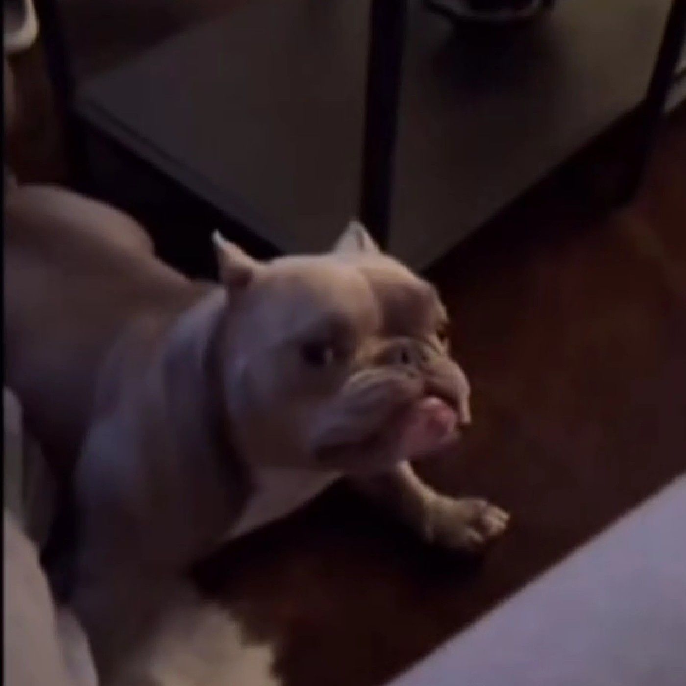 El podcast de Miguel Romero