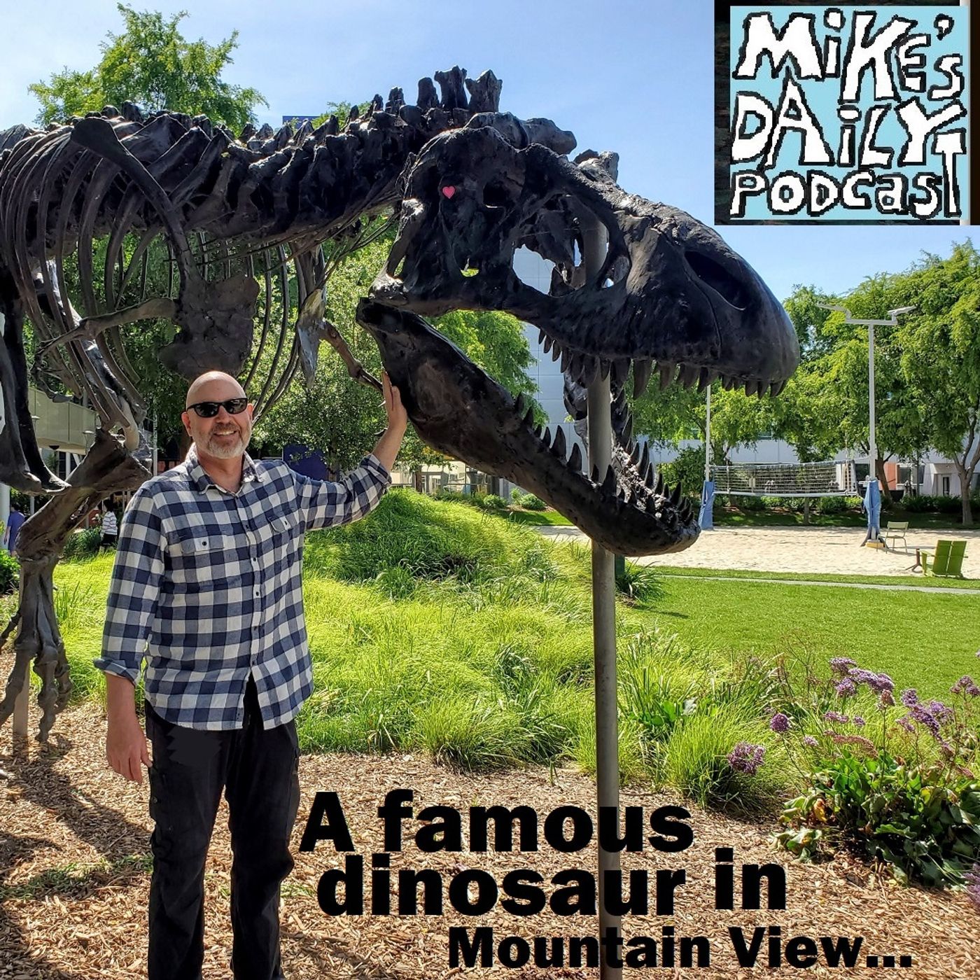 Mike\'s Daily Podcast
