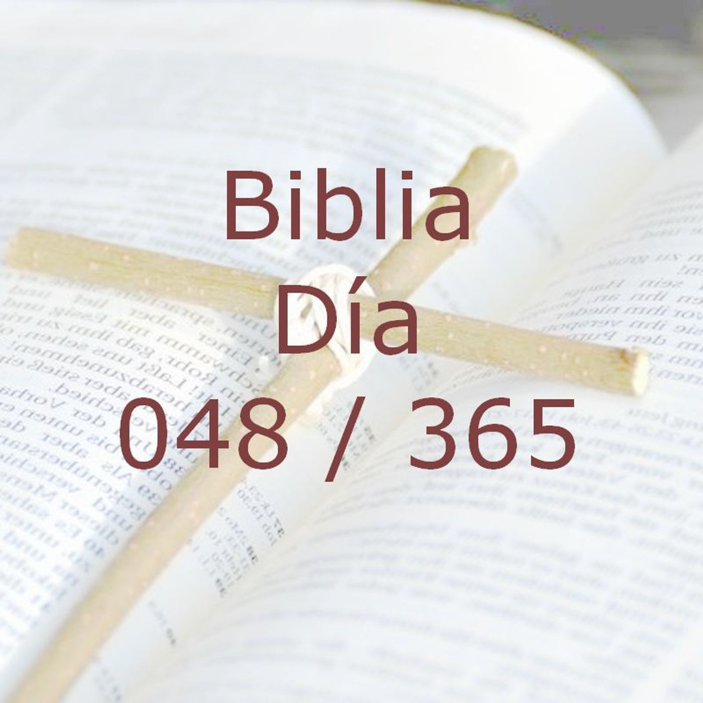 La Biblia en 365 dias