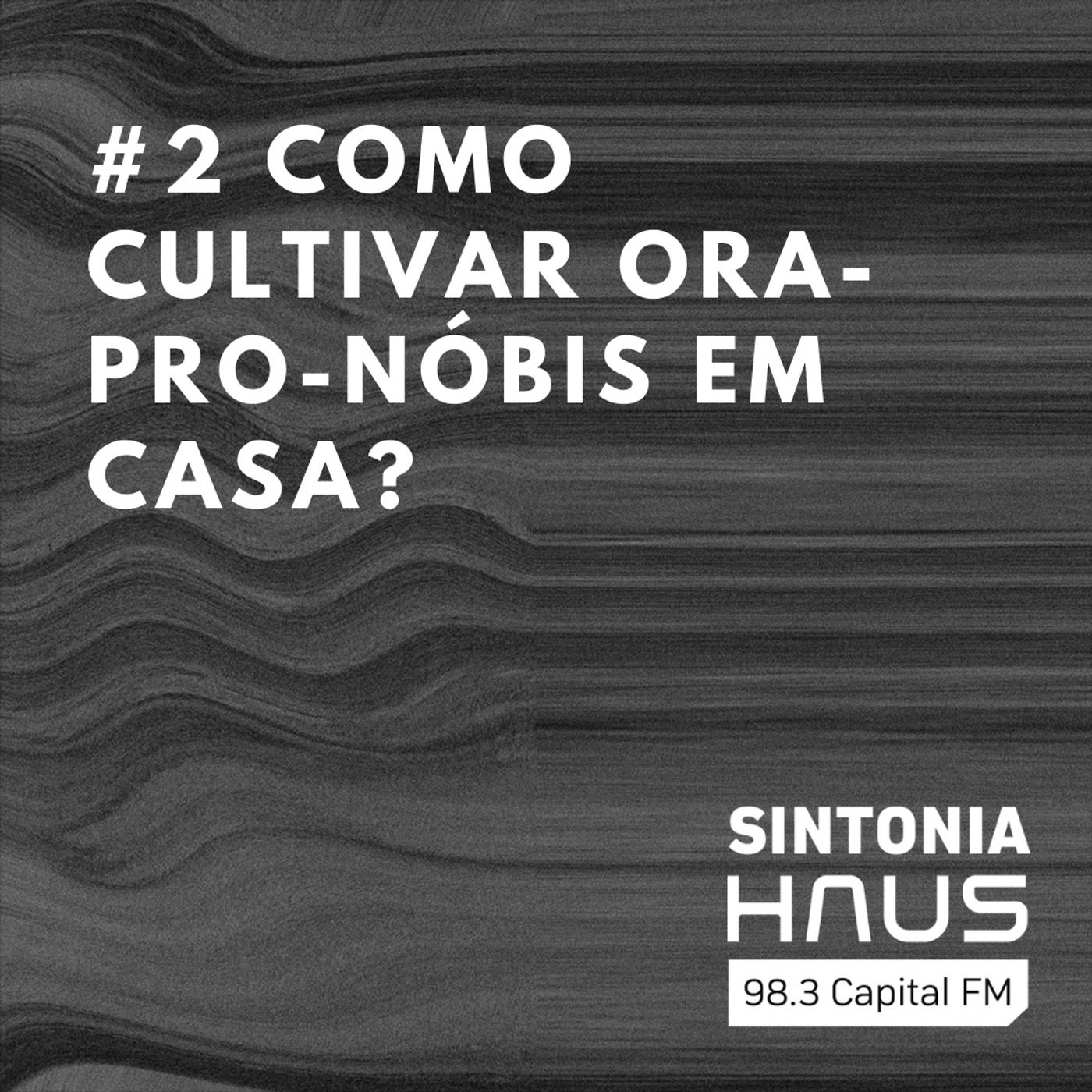 Como cultivar ora-pro-nóbis em casa? | Sintonia HAUS #2 episode artwork