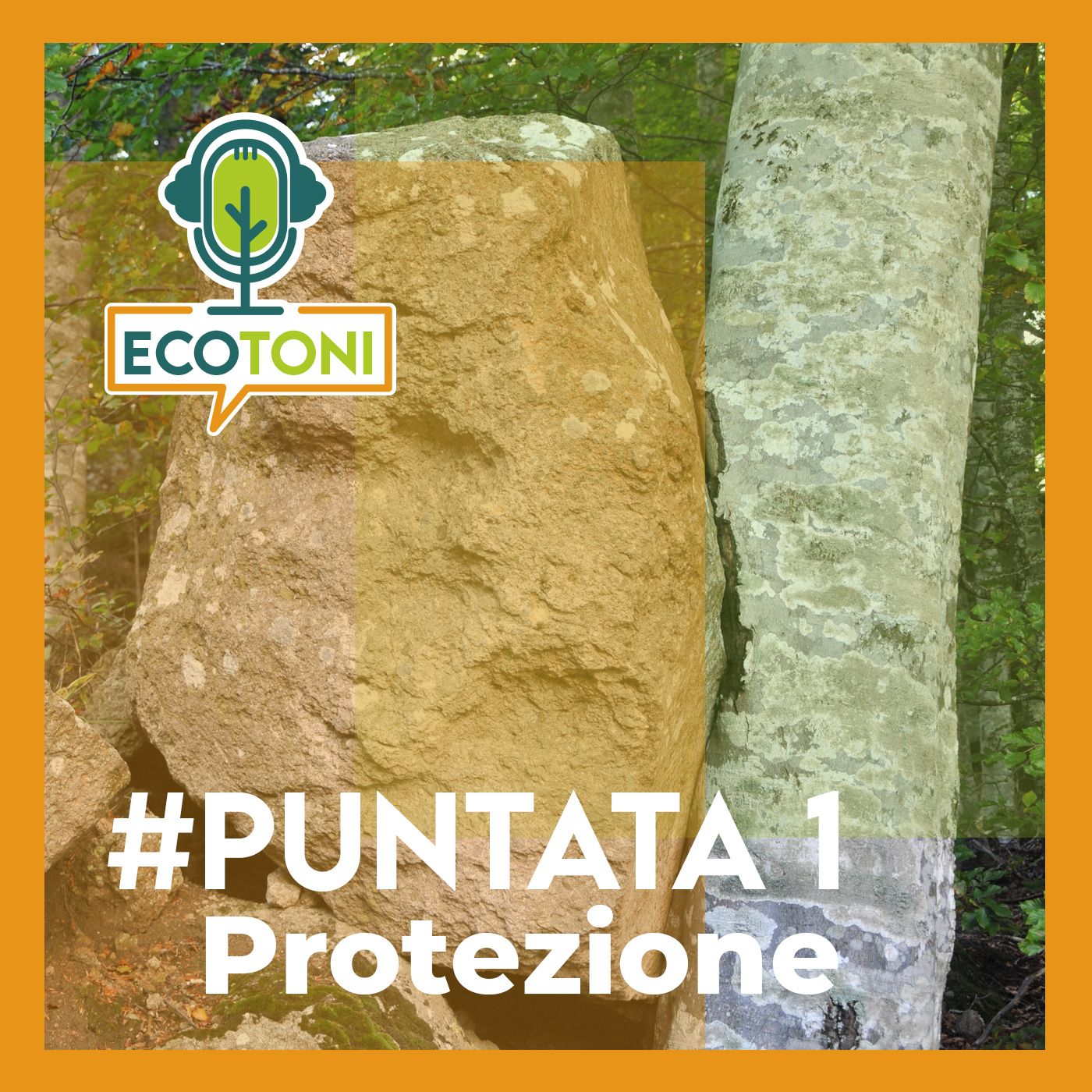 ECOTONI