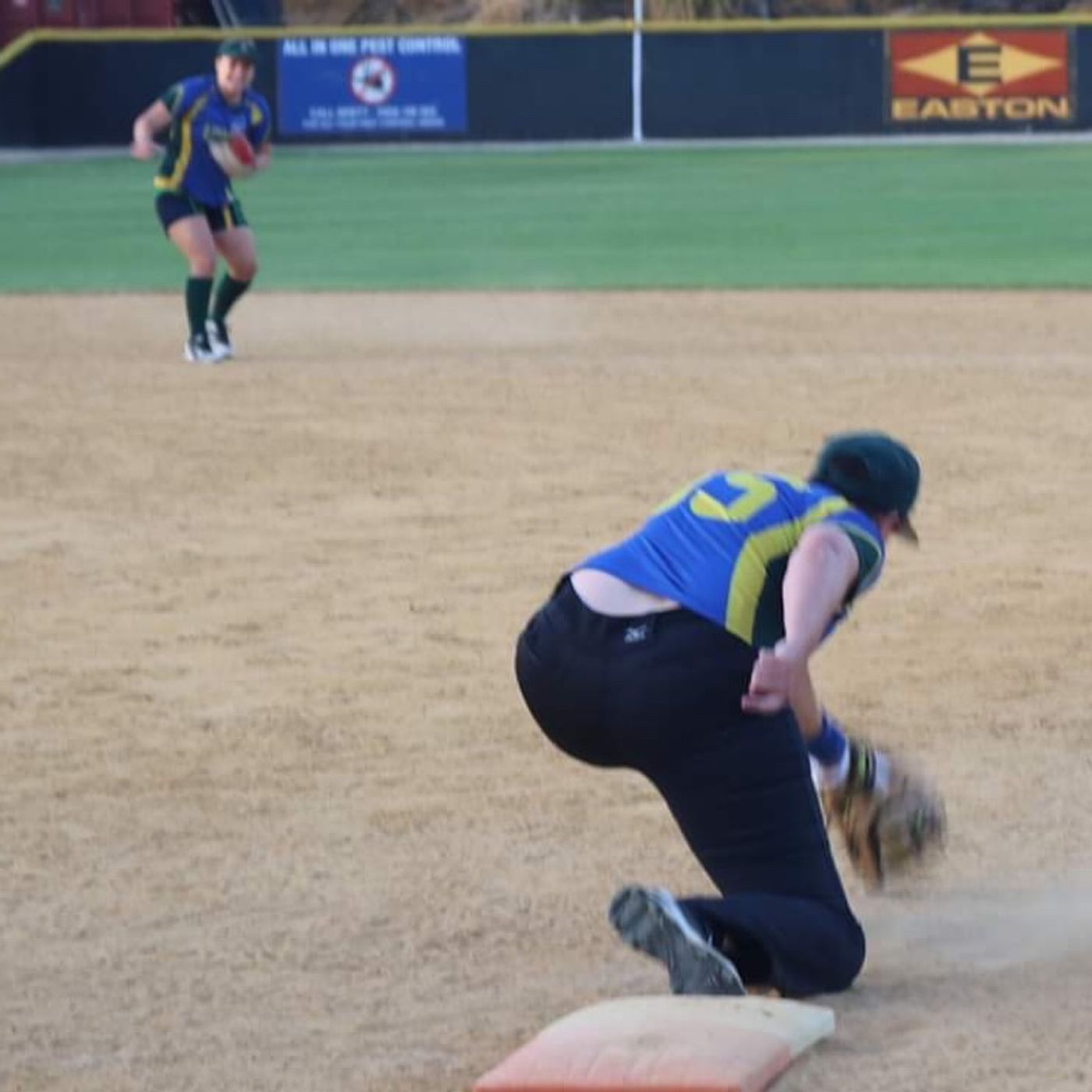 Ladywhips Baseball