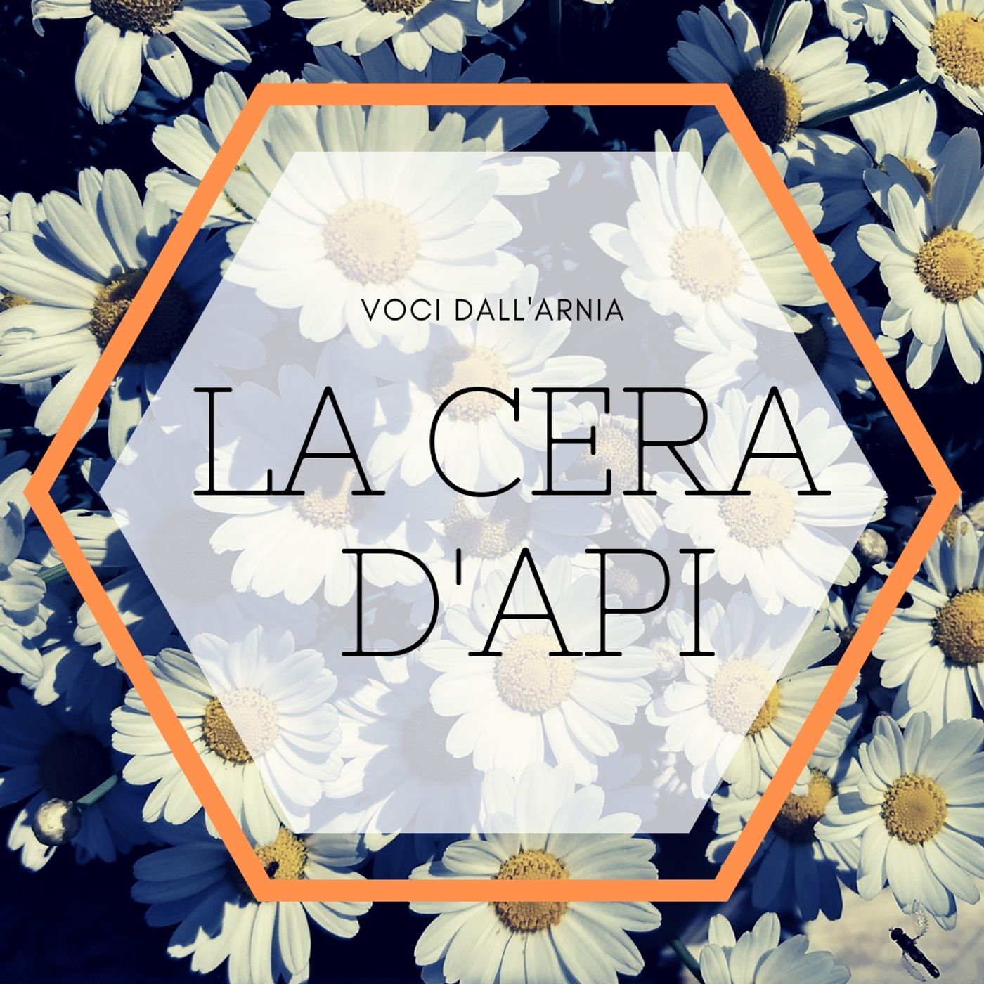 Voci dall\'arnia con Vitamina Bee
