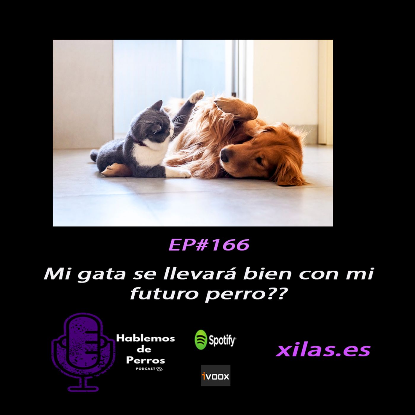 Hablemos de perros