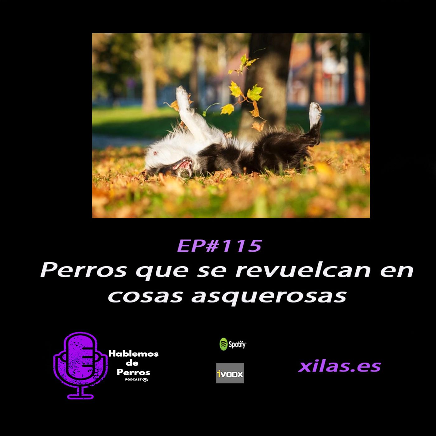 Hablemos de perros