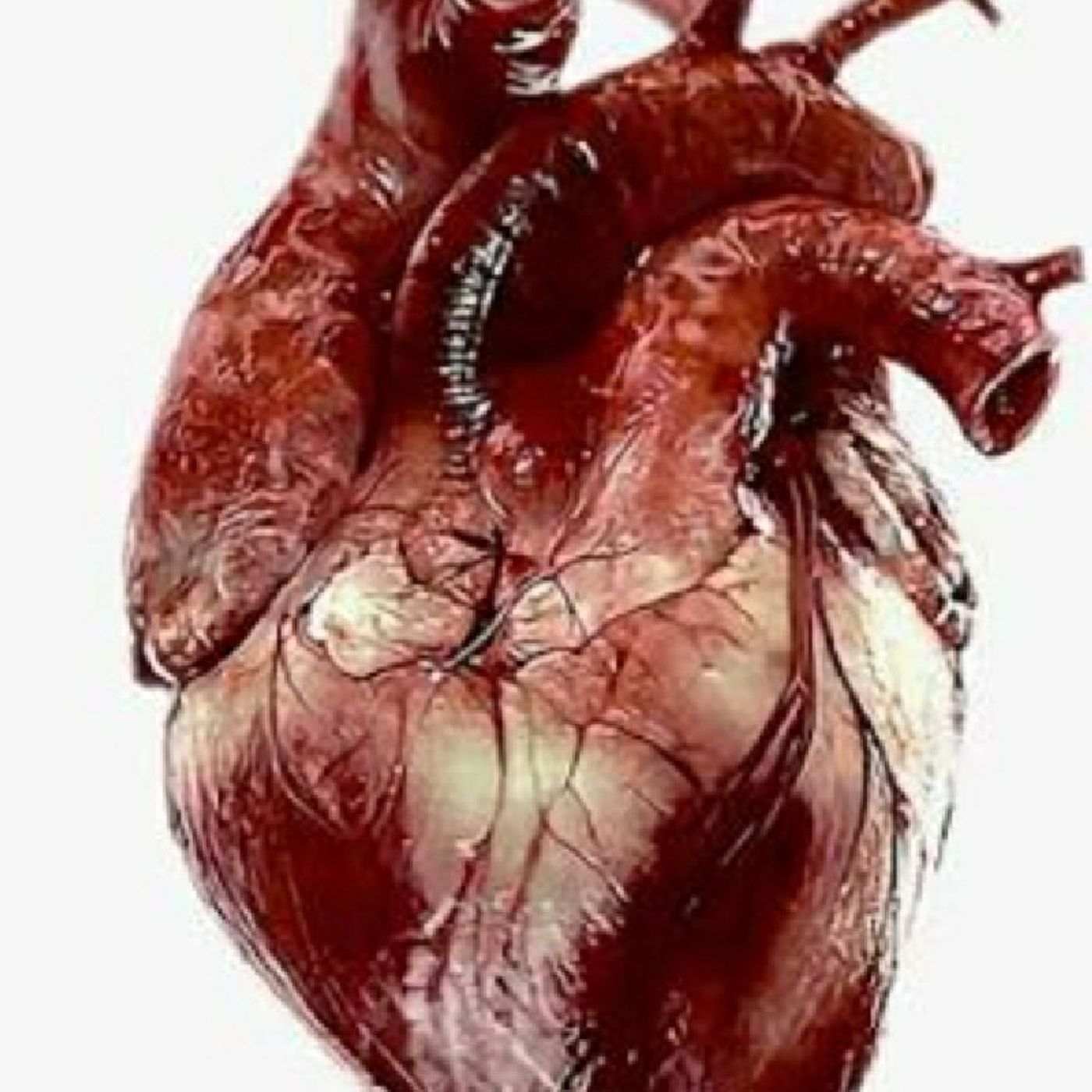 Neetu Poddar\'s podcast