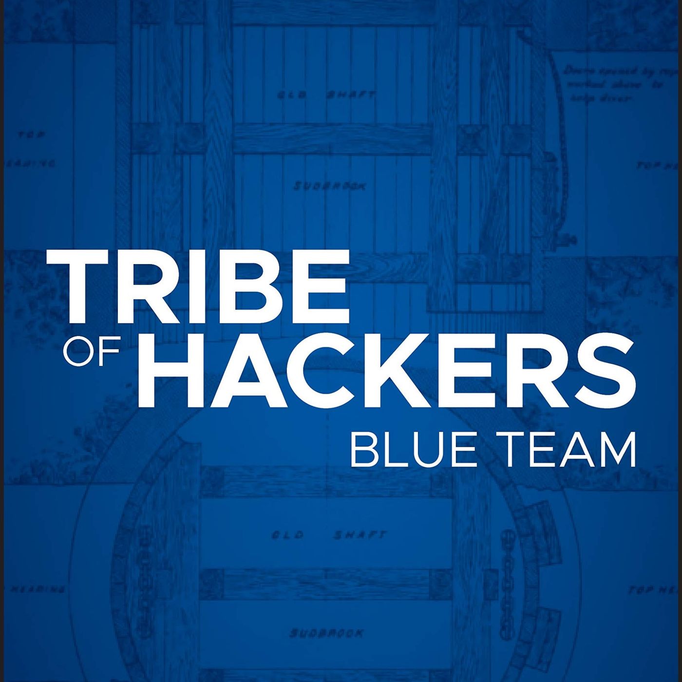 Tribe of Hackers Blue Team: Tribal Knowledge from the Best in Defensive Cybersecurity