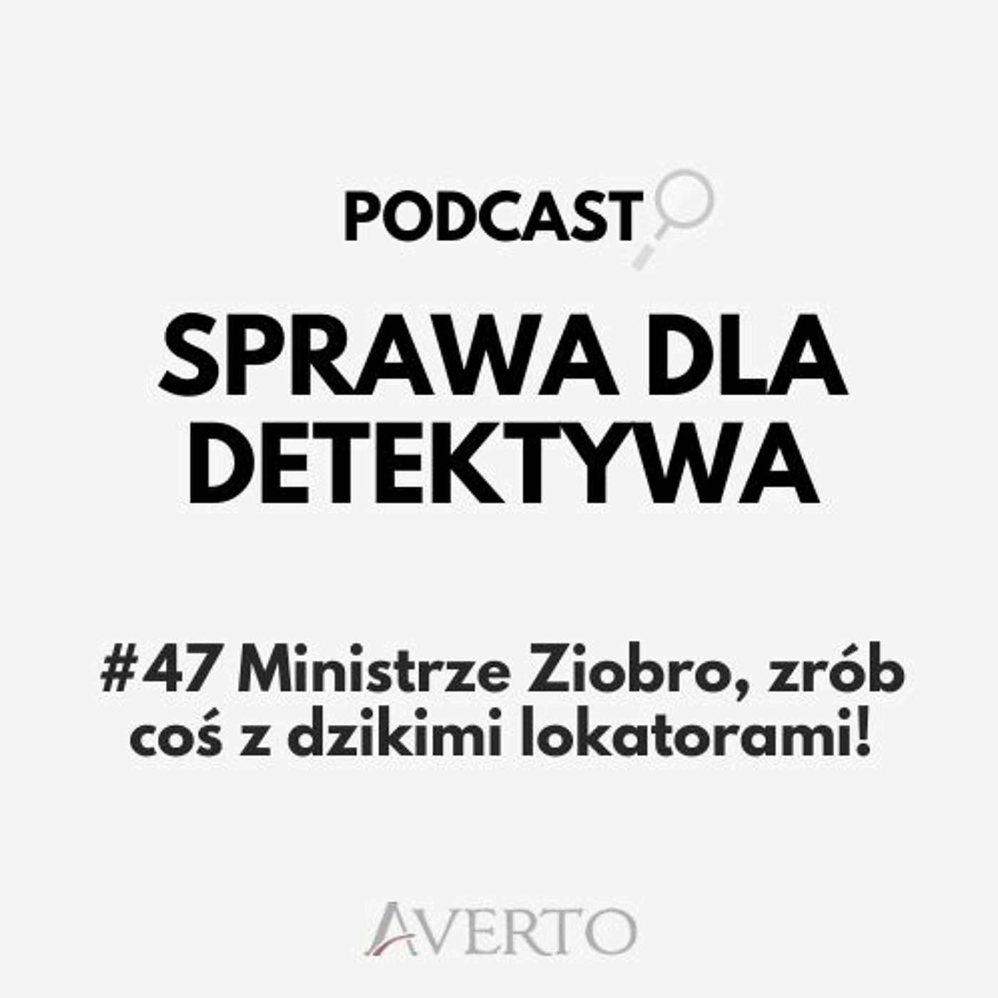 Sprawa dla detektywa