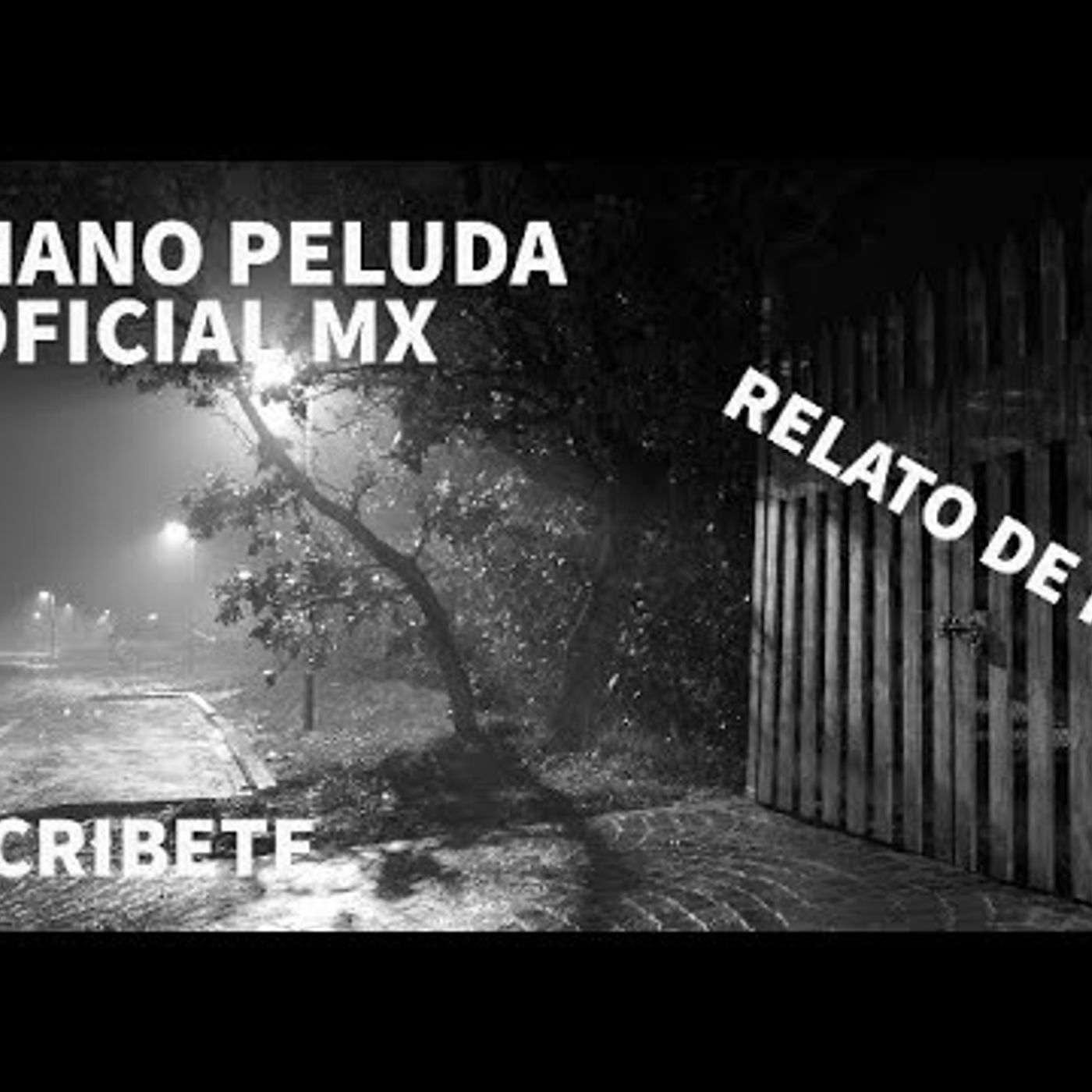 EL RELATO DE RAUL episode artwork