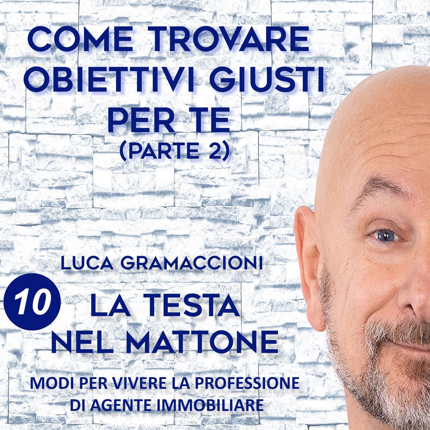 LA TESTA NEL MATTONE