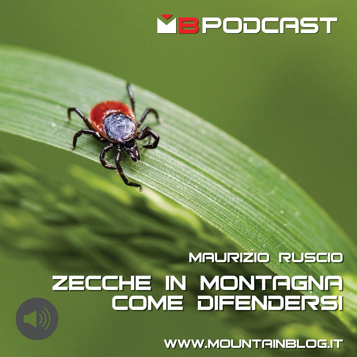 Zecche in montagna: come difenderci?  - Maurizio Ruscio