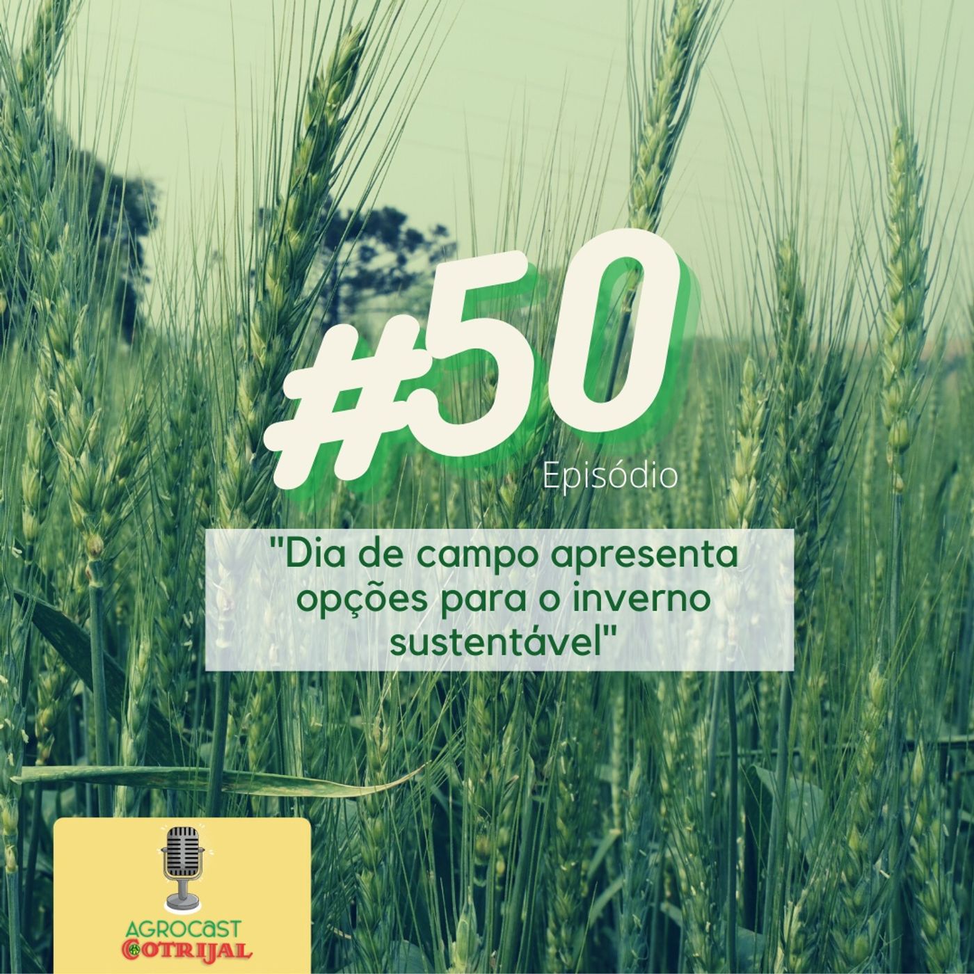 AgroCast Cotrijal
