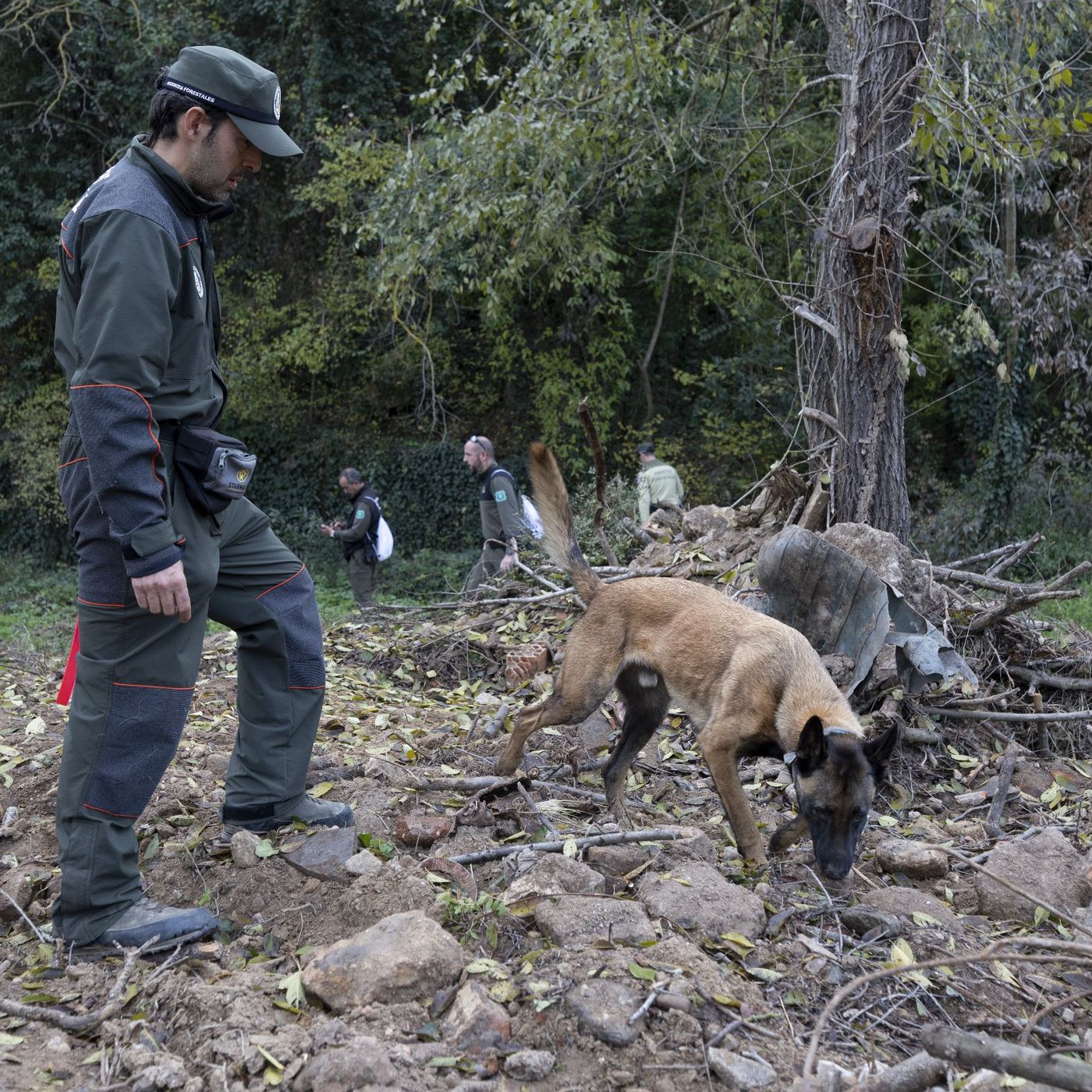 Con Ánimo de Lucro: La peste porcina pone en jaque el sector ganadero