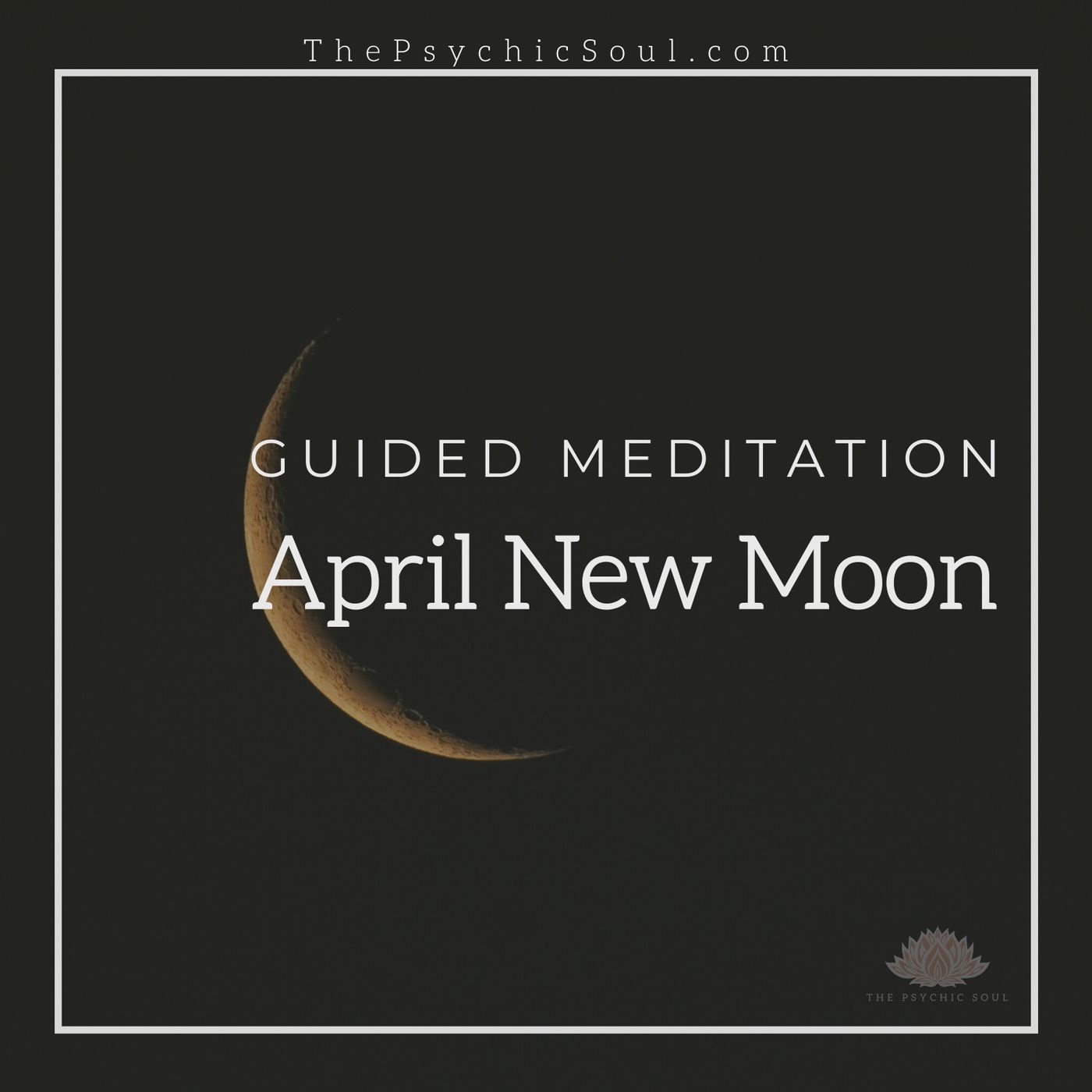 The Psychic Soul Meditations