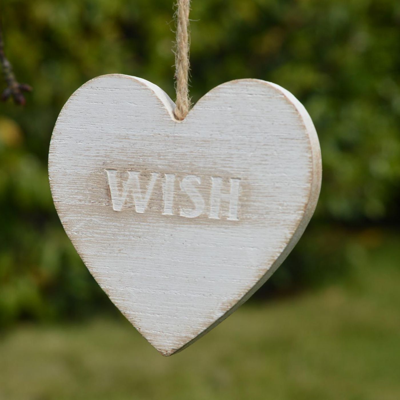 Episode 288 Love on a Wish