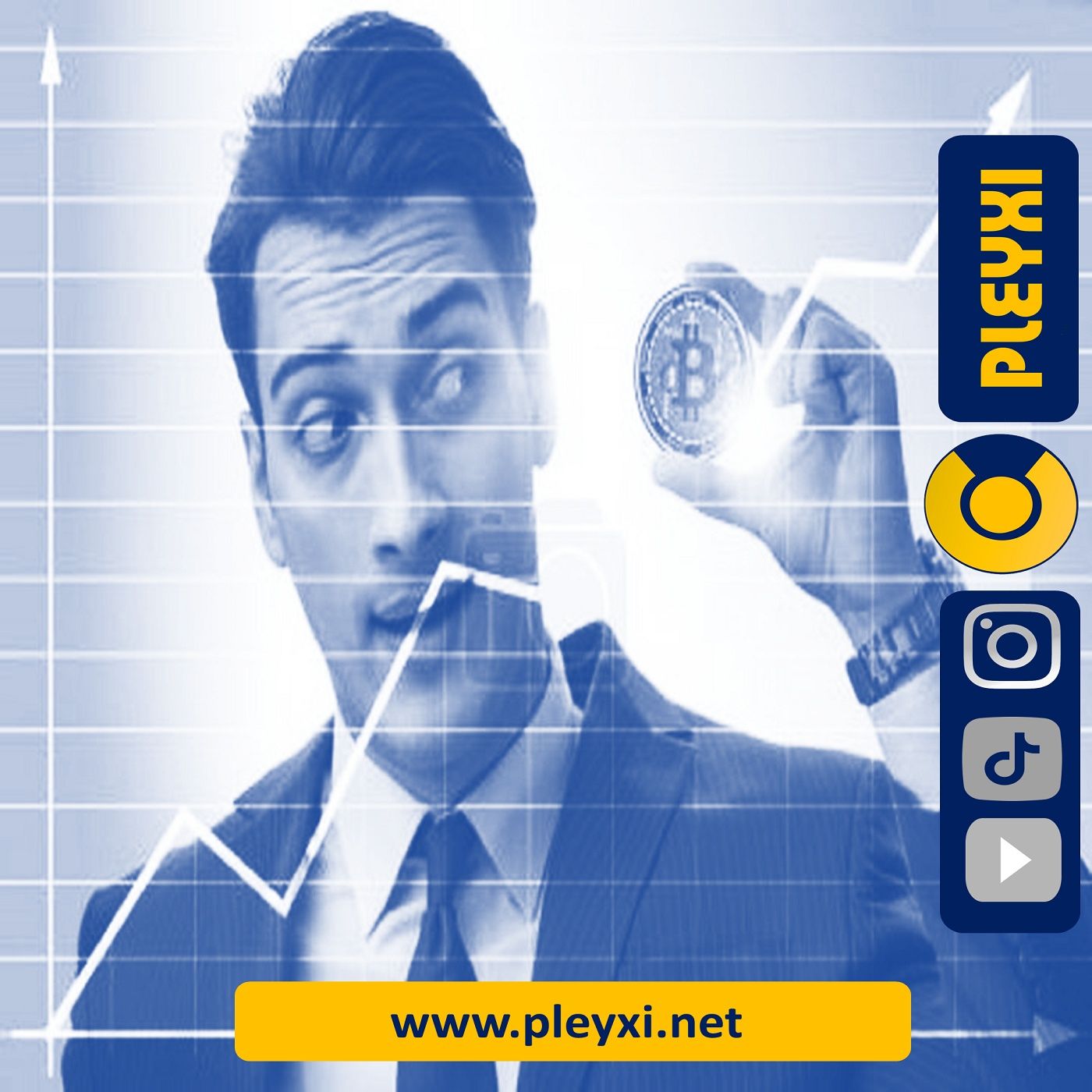 EMPRENDIMIENTO Y MARKETING DIGITAL- PLEYXI