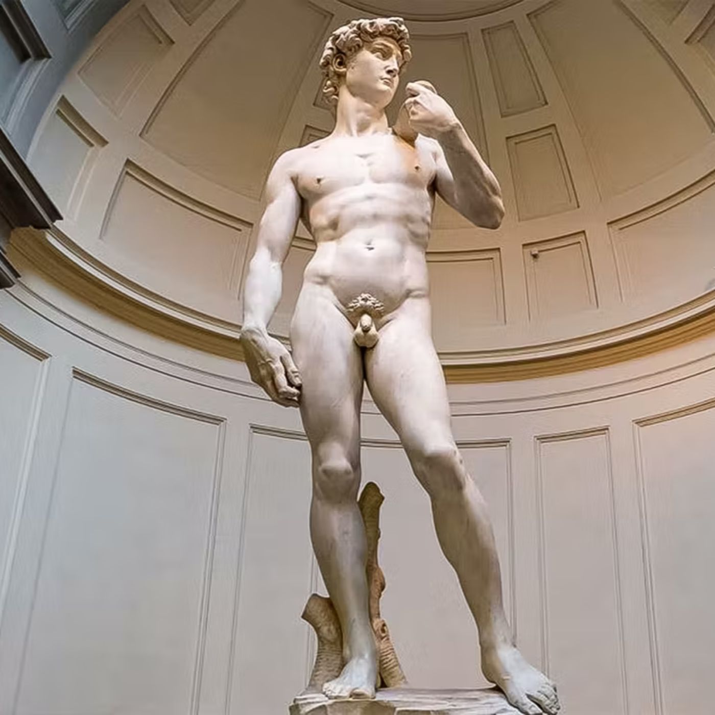 Frank The Lunatic ® Rants ©