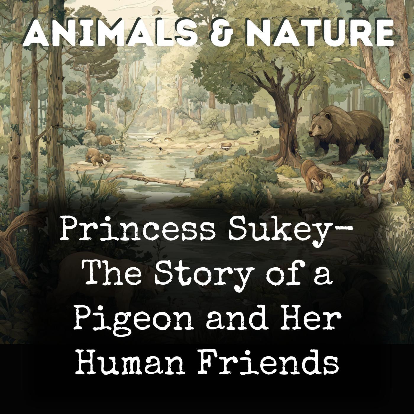 Princess Sukey-  The Story of a Pigeon and Her Human Friends cover art