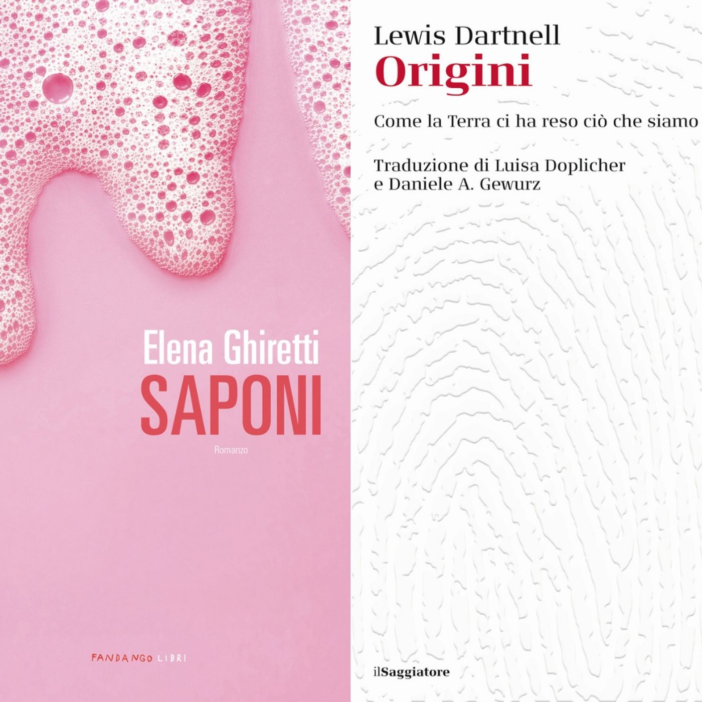Archivio: Bookblister
