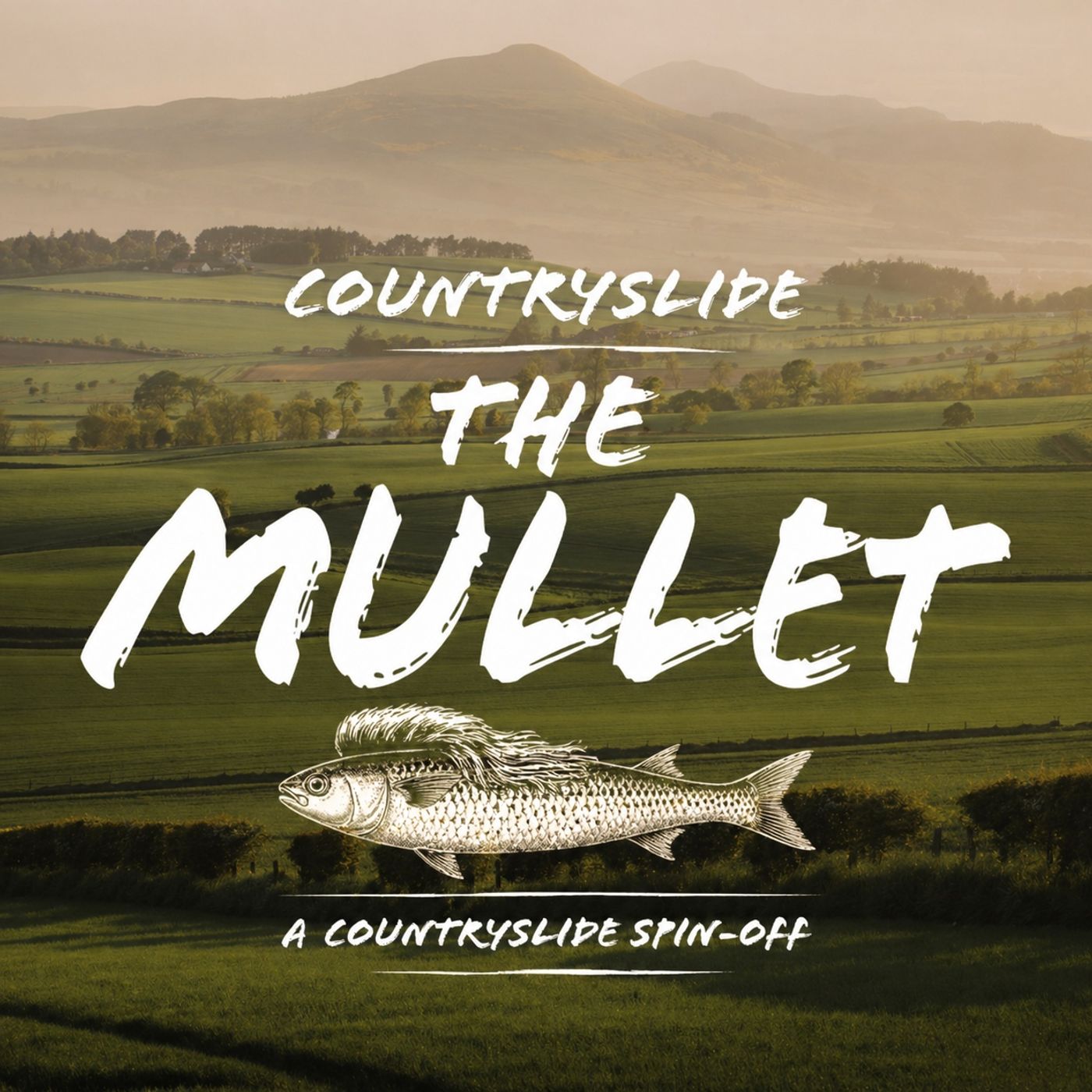 CountrySlide