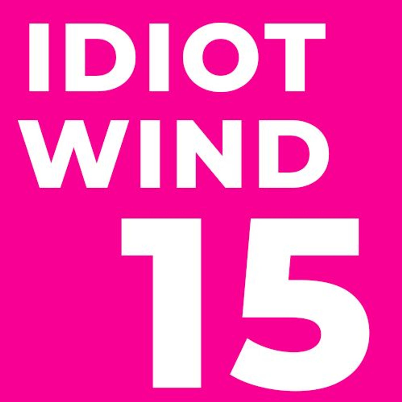 Idiot Wind Panel Show